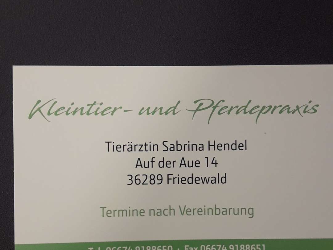 Ansicht 2 von Tierärztin Sabrina Hendel
