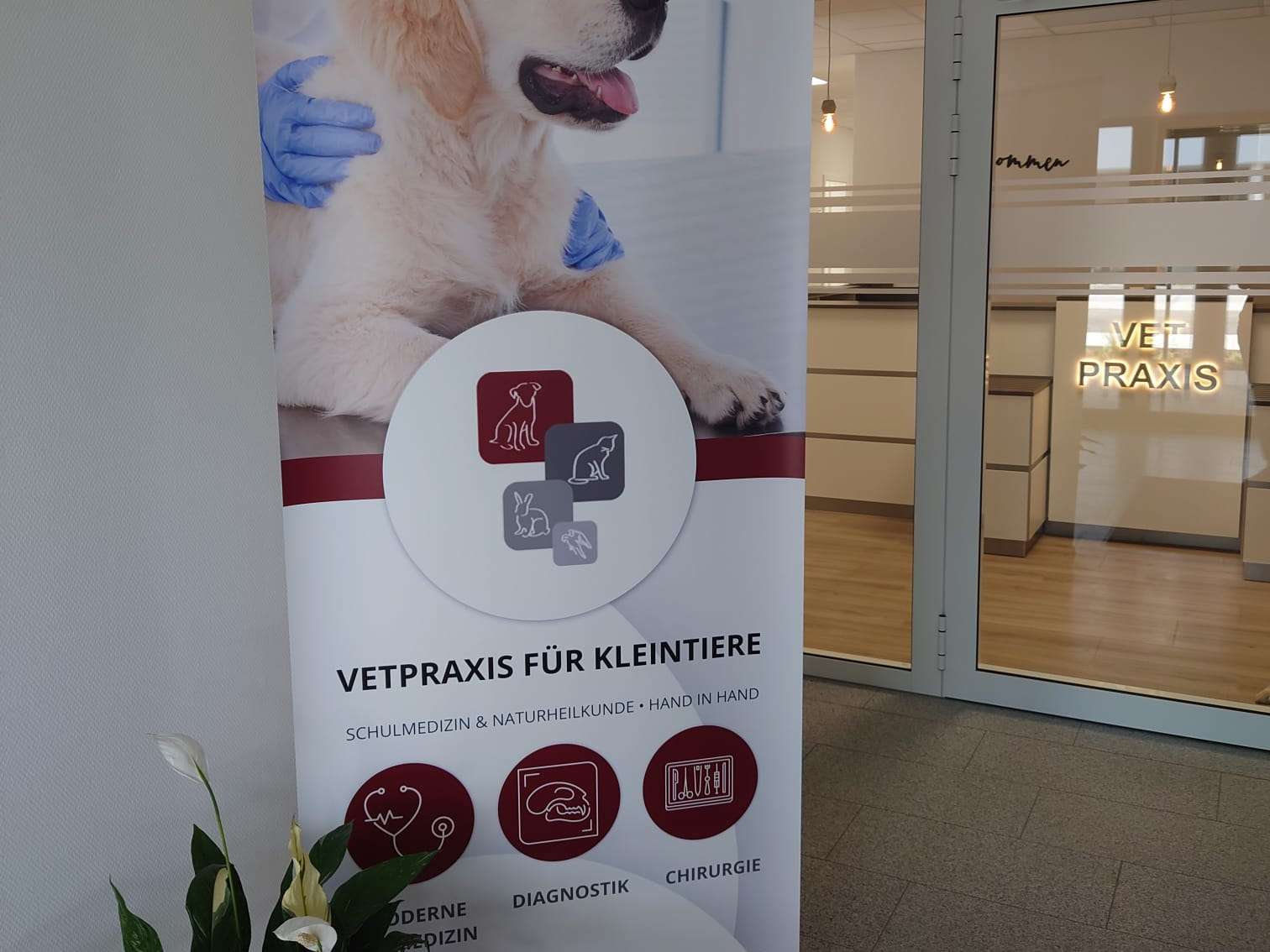 Ansicht 5 von VETPraxis für Kleintiere GmbH