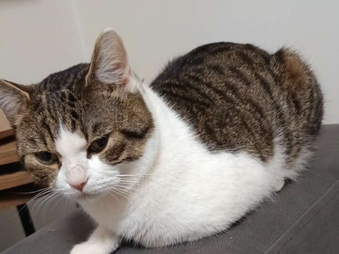 Ansicht 5 von Tierklinik im Tierzentrum