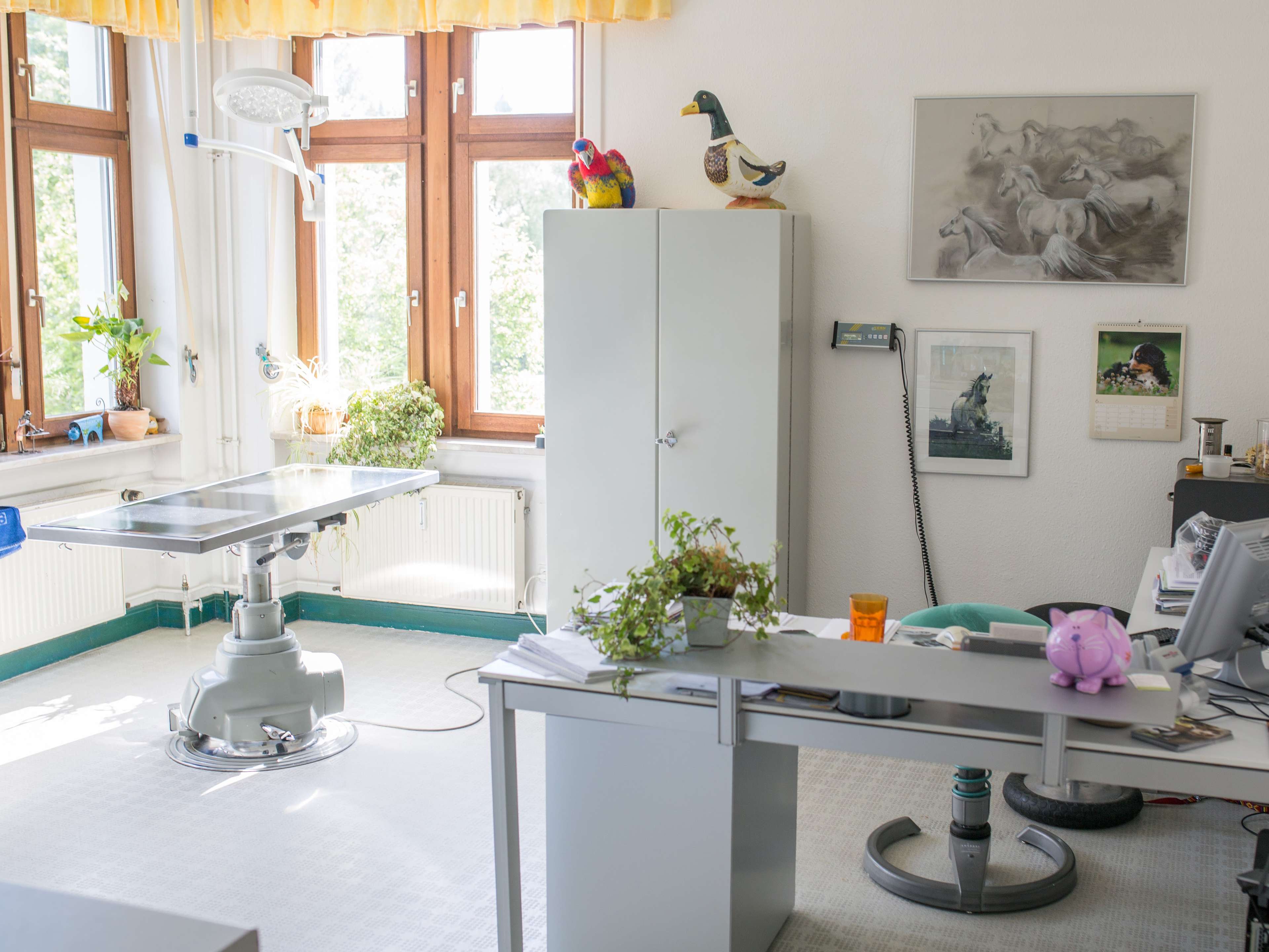 Ansicht 1 von Tierarztpraxis Körner