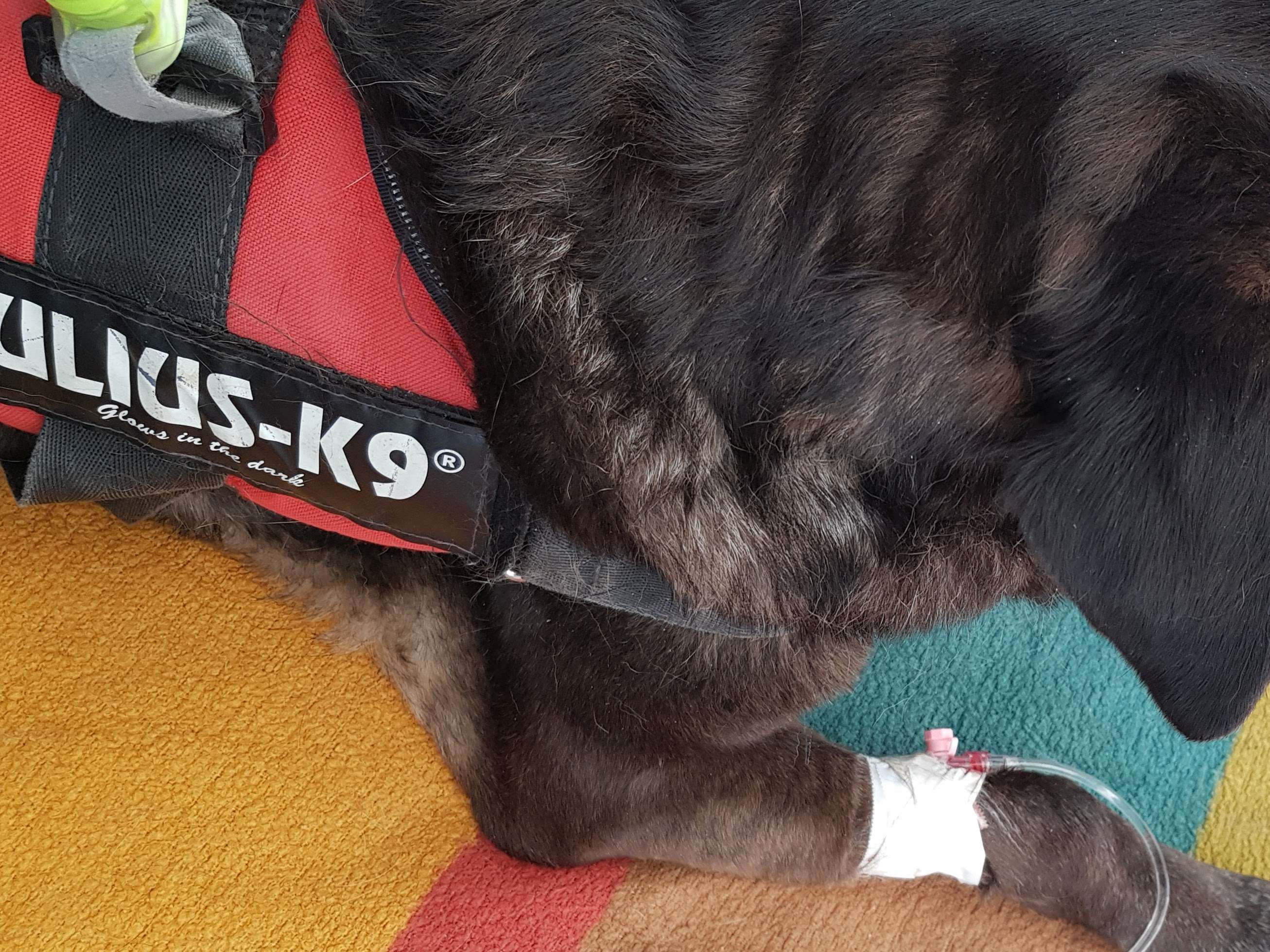 Ansicht 4 von Kleintierpraxis am Aischbach, Dr.med.vet. Simon