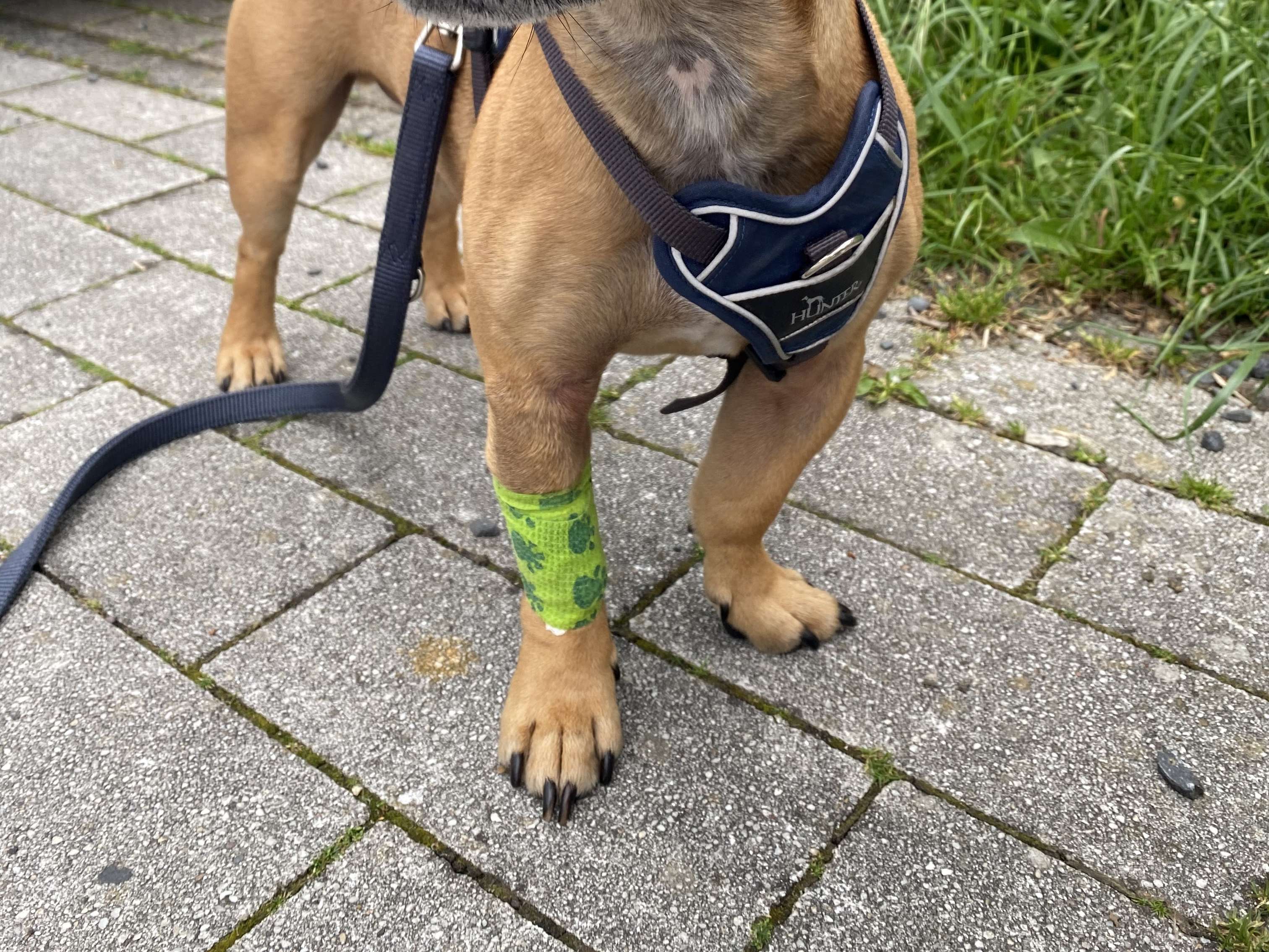Ansicht 2 von Dr.med.vet. Klaus Eckert Tierarzt