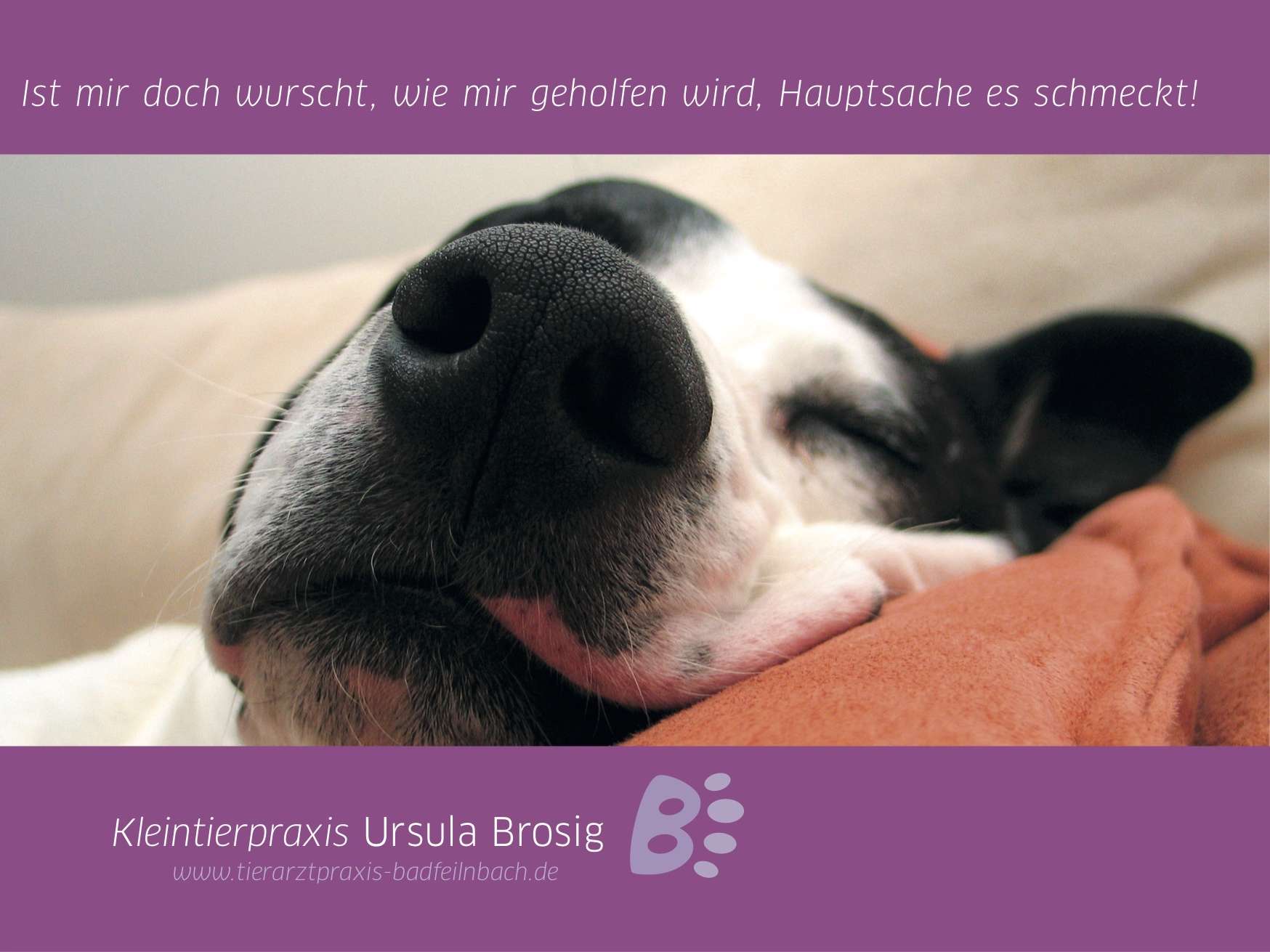 Ansicht 5 von Tierarztpraxis Ursula Brosig