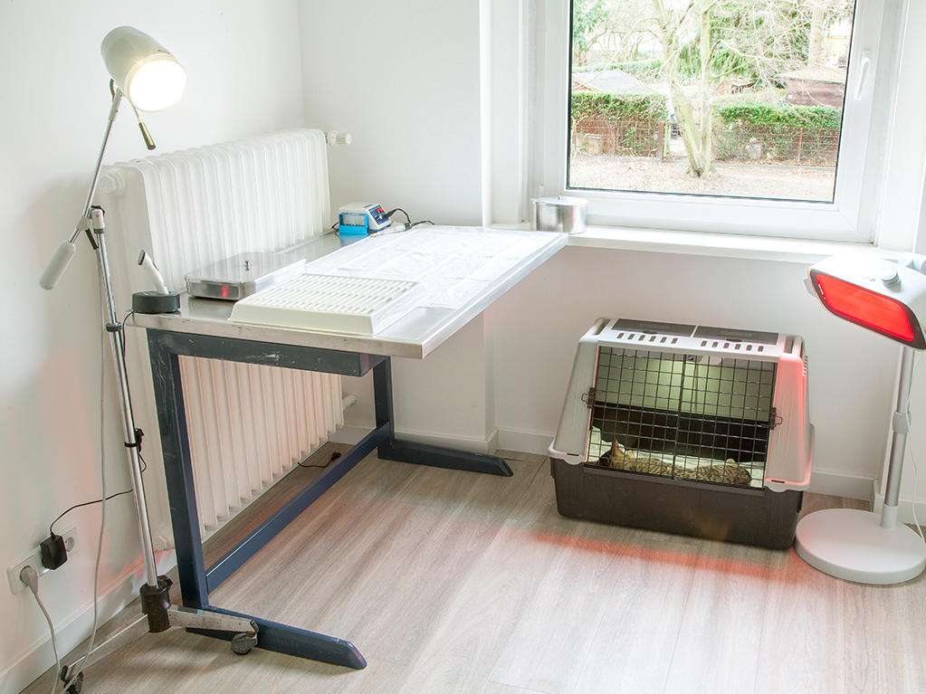 Ansicht 4 von Flidais Vet - Kleintierpraxis Neukölln