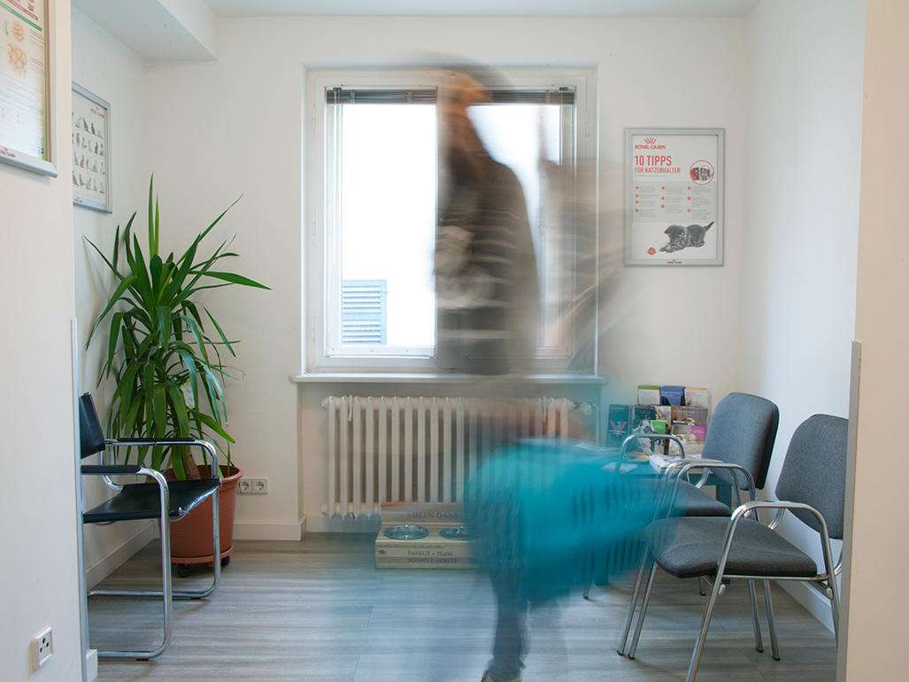 Ansicht 5 von Flidais Vet - Kleintierpraxis Neukölln