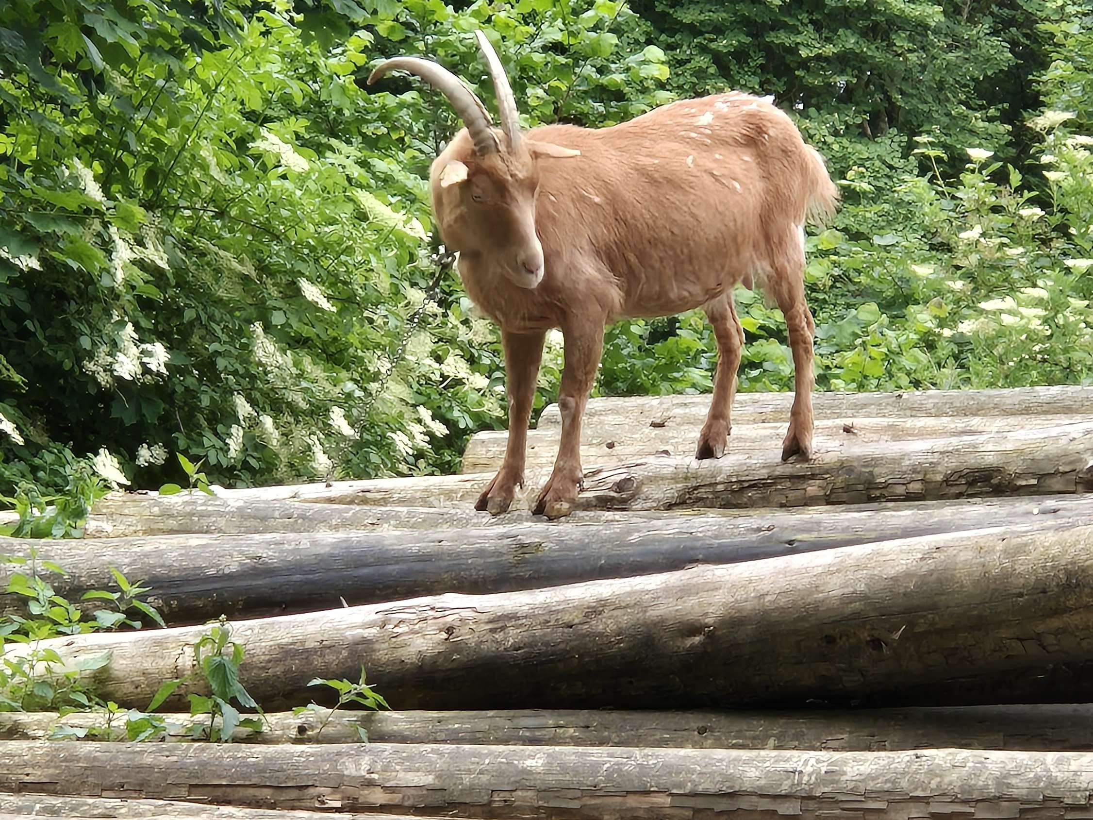 Ansicht 2 von Tierarztpraxis Reinecke