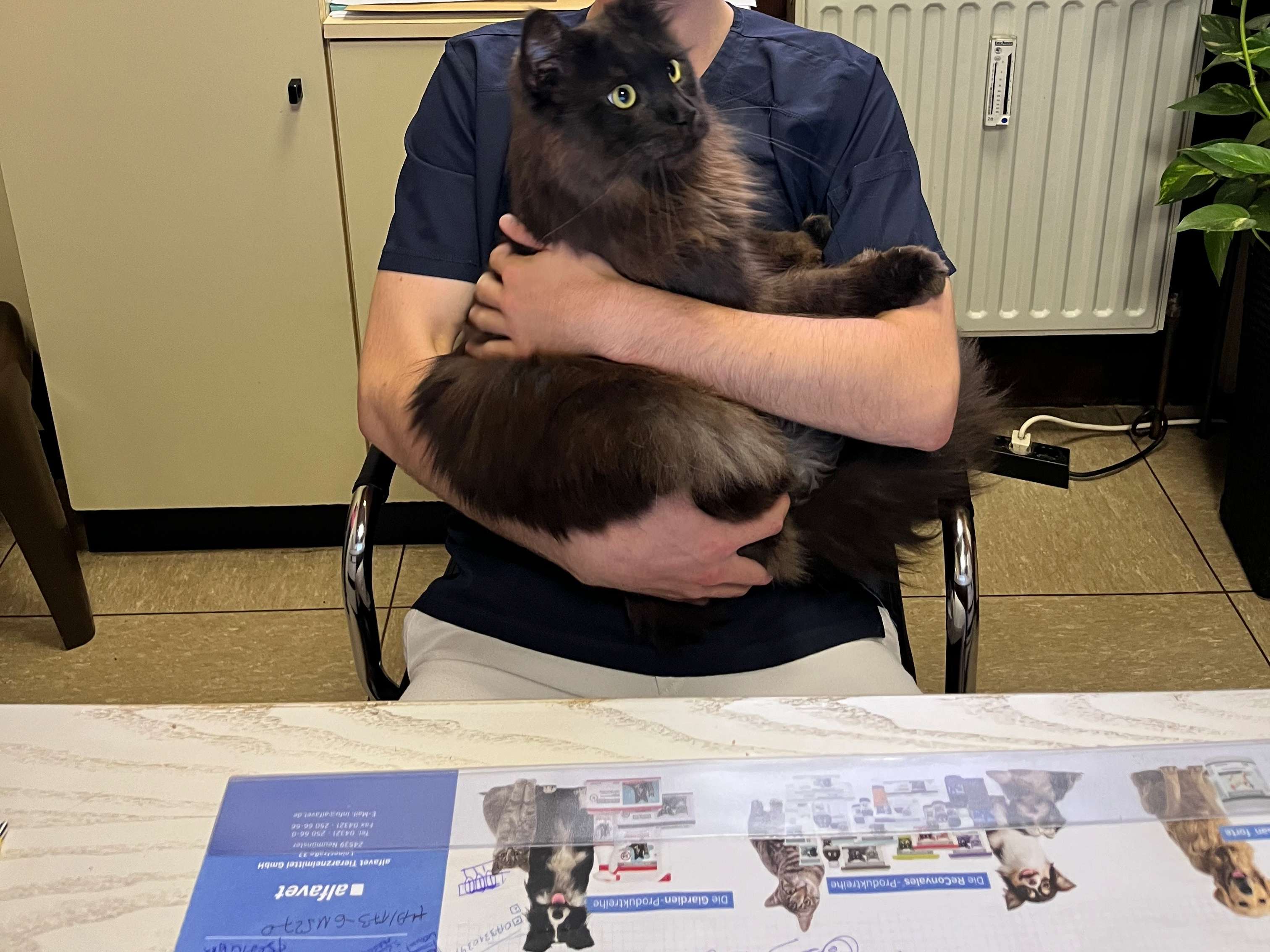 Ansicht 5 von Tierarztpraxis Dr. vet. Stupar