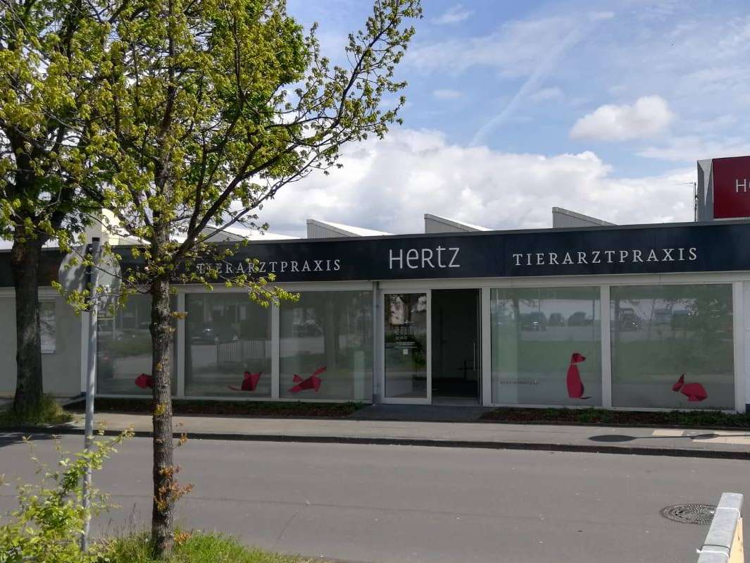 Ansicht 2 von Tierarztpraxis Hertz