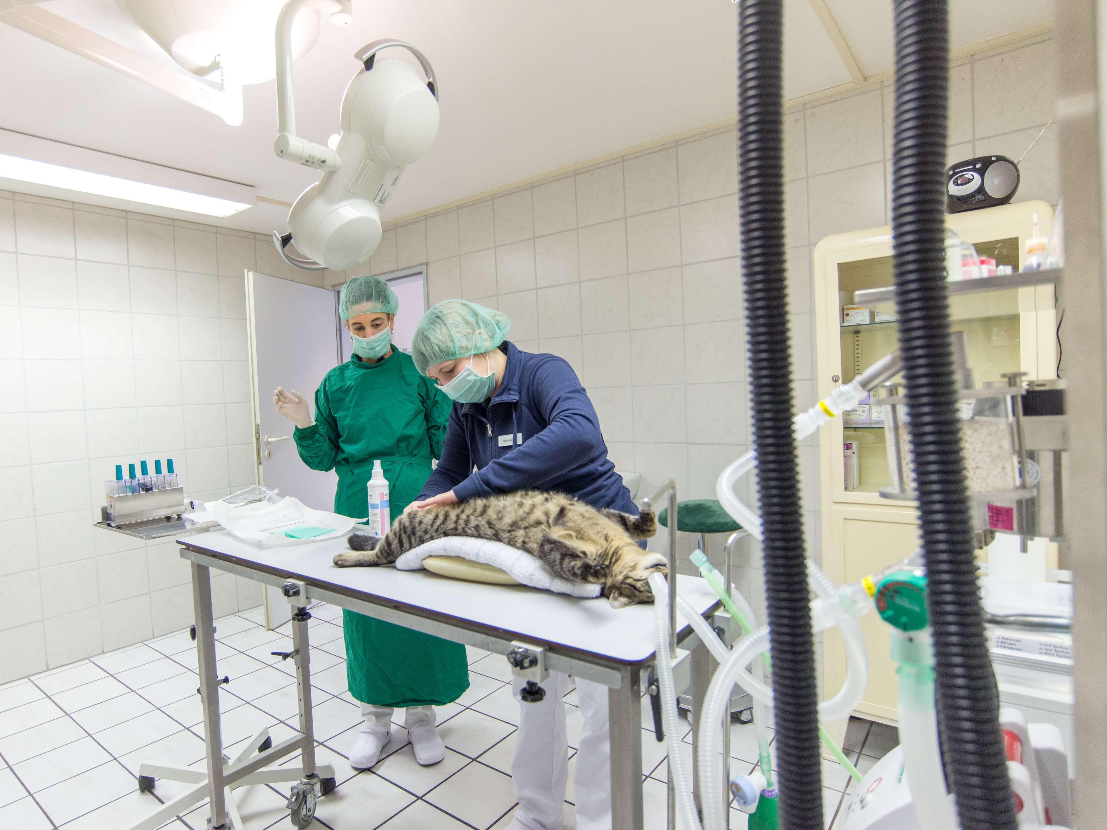 View 2 of Tierklinik Ganal und Ewert
