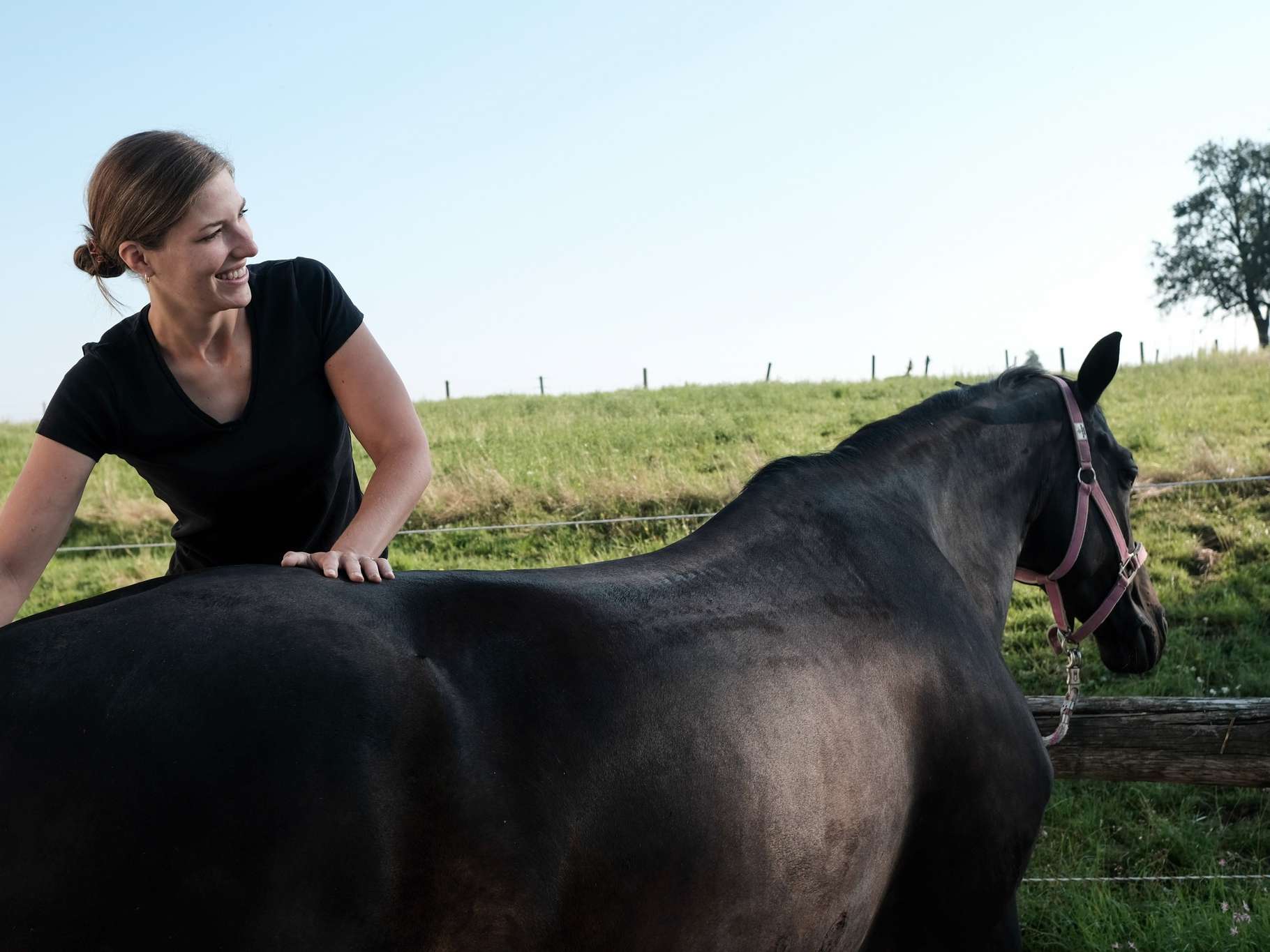 Ansicht 1 von Equisana - Mobile Pferdepraxis & Veterinärchiropraktik Mag.med.vet. Daniela Kaltenböck