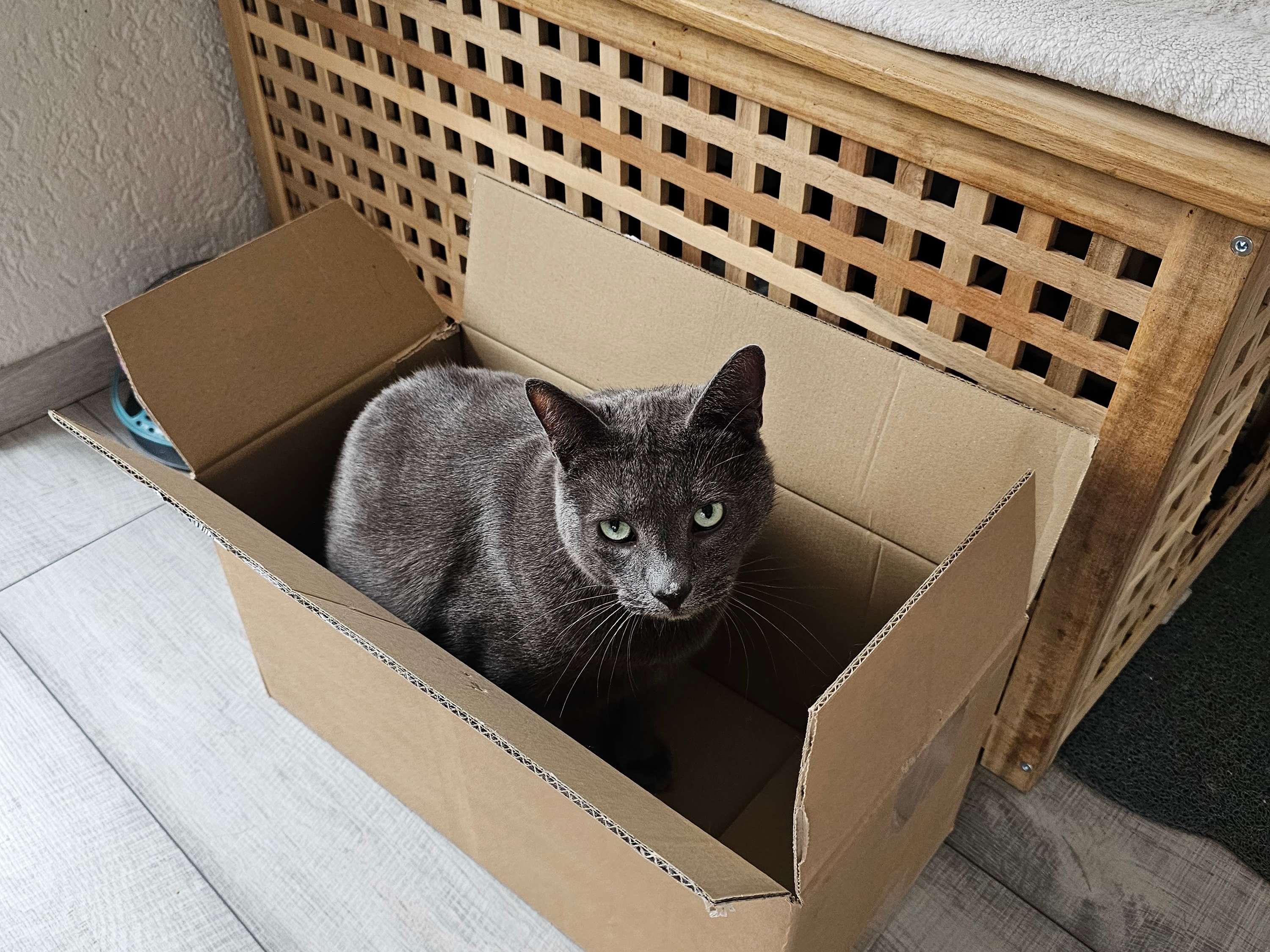 Ansicht 1 von Hilbich Dirk Dr.med.vet.