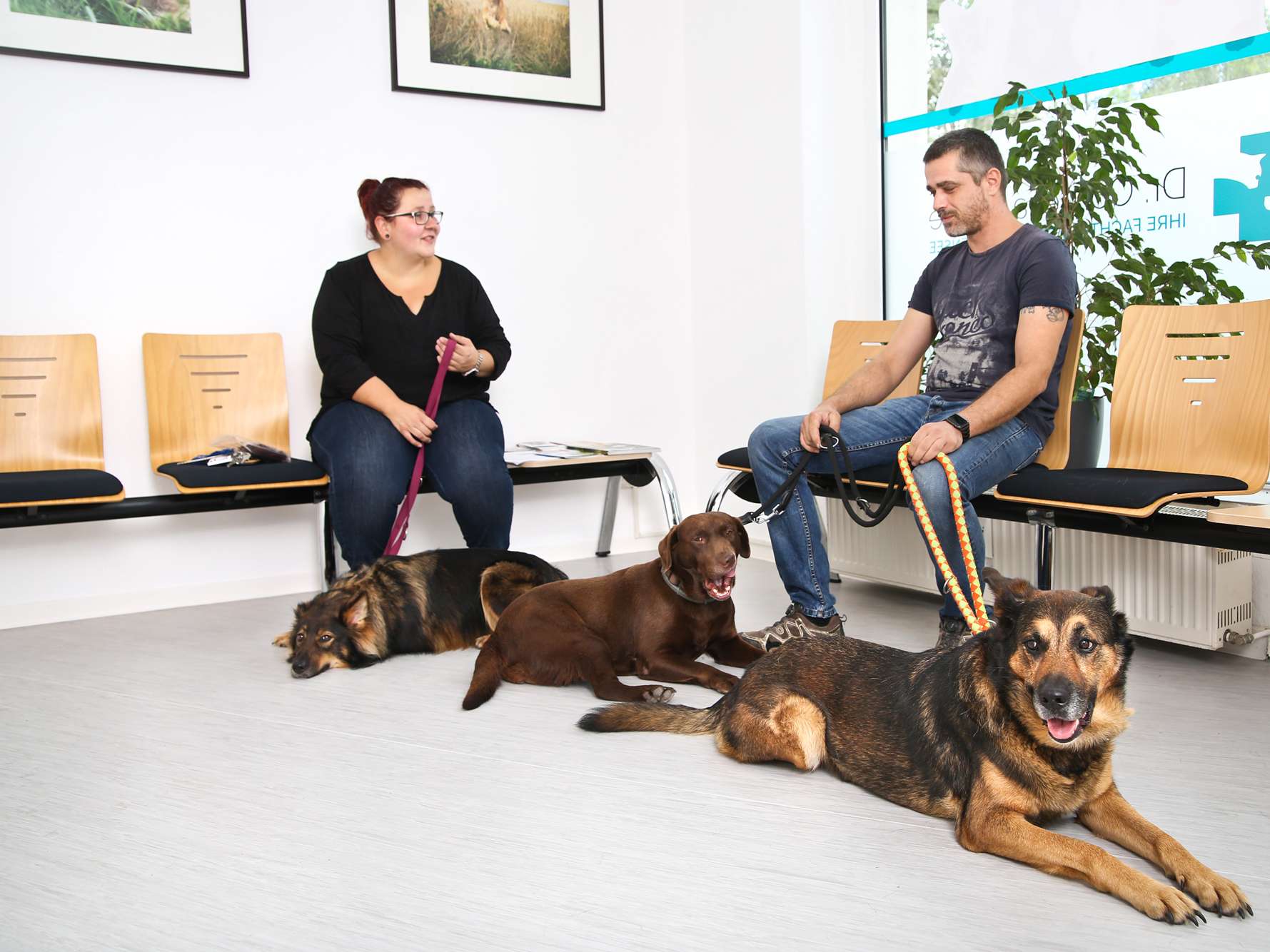 Ansicht 3 von Tierarztpraxis Dr. Fricke - Leipzig