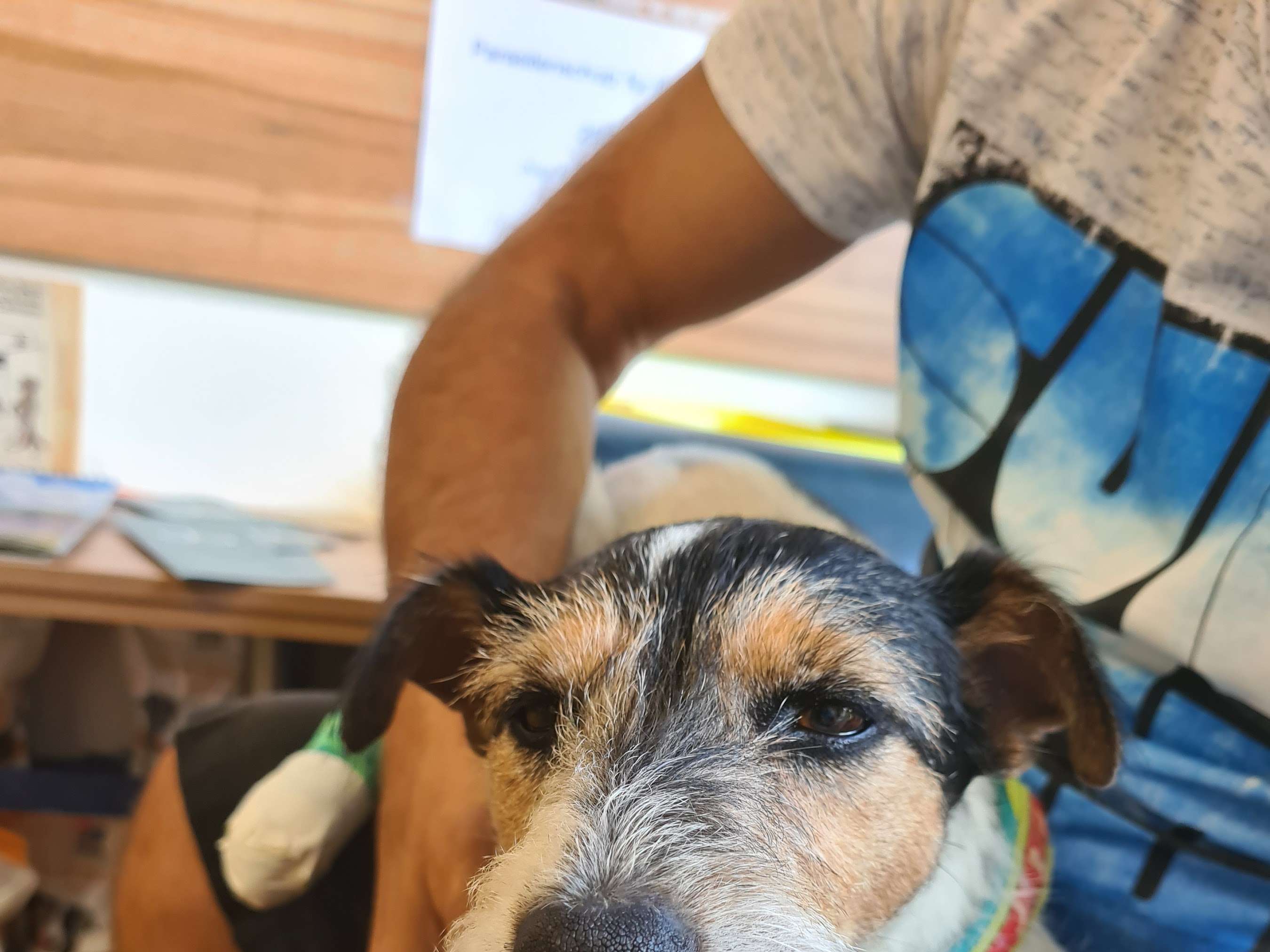 Ansicht 3 von Tierklinik Dobersberg