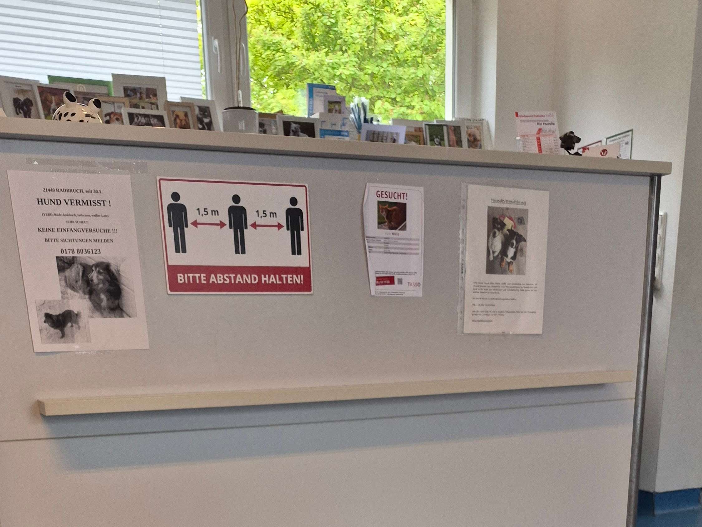 Ansicht 1 von Dr. med. vet. Sarah Drews