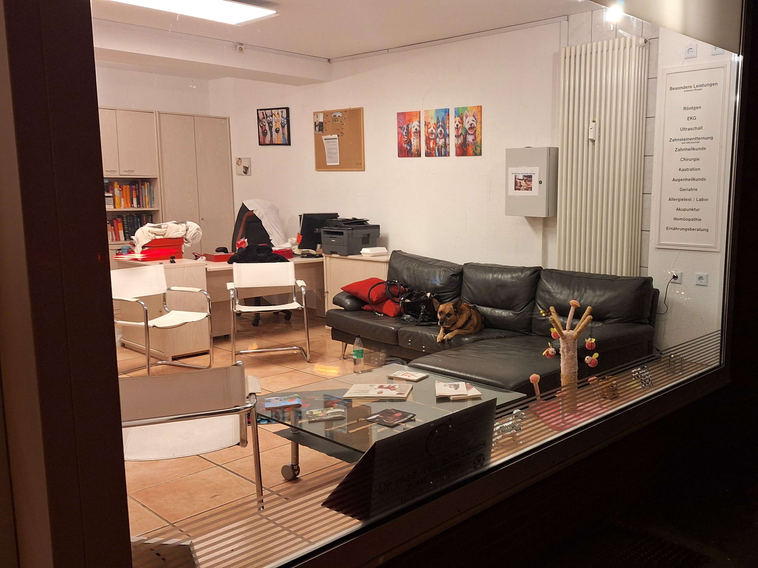 Ansicht 3 von Dr. med. vet. Eva Lauck