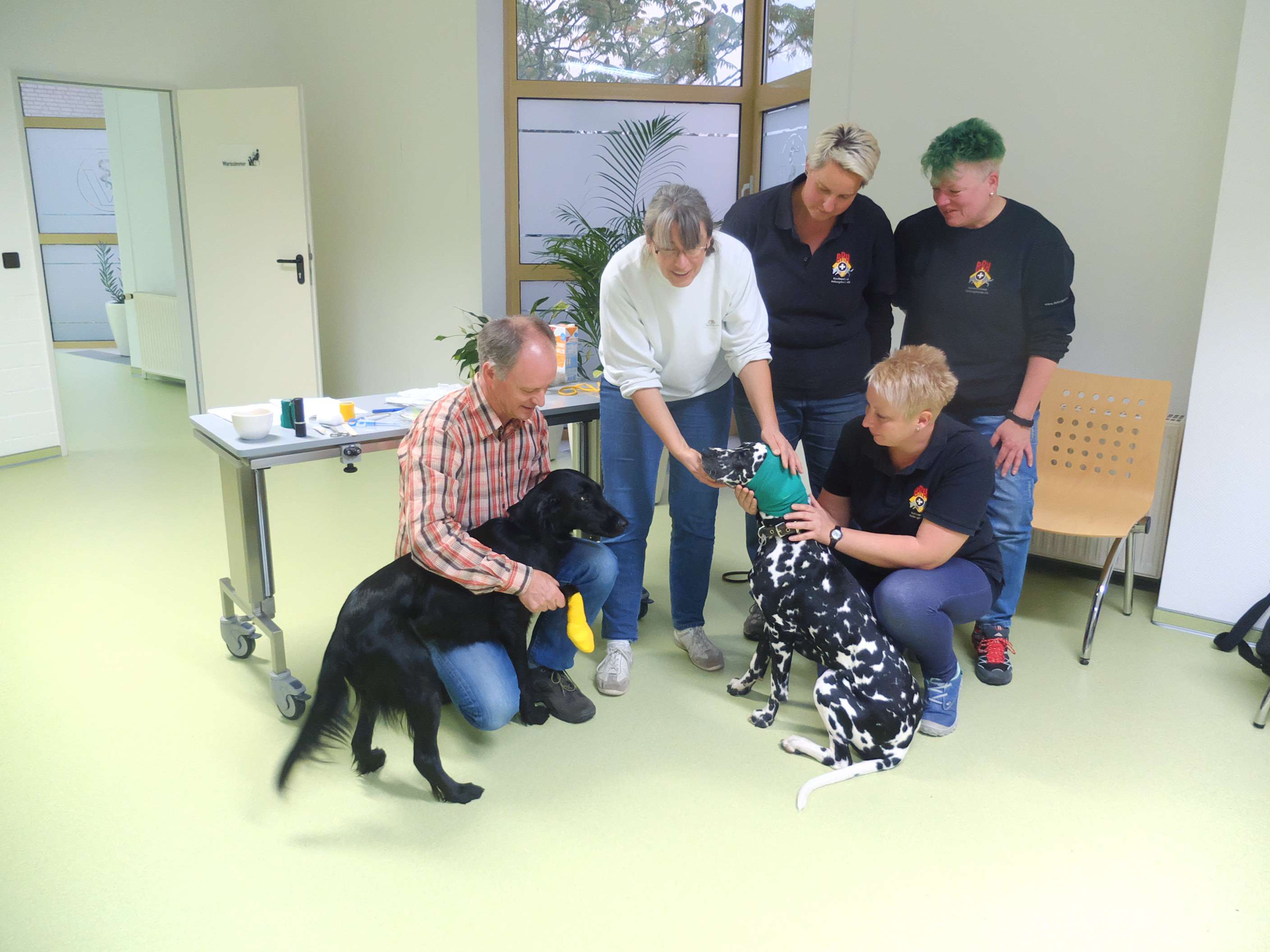 Ansicht 3 von Tierarztpraxis Dr. Kästner