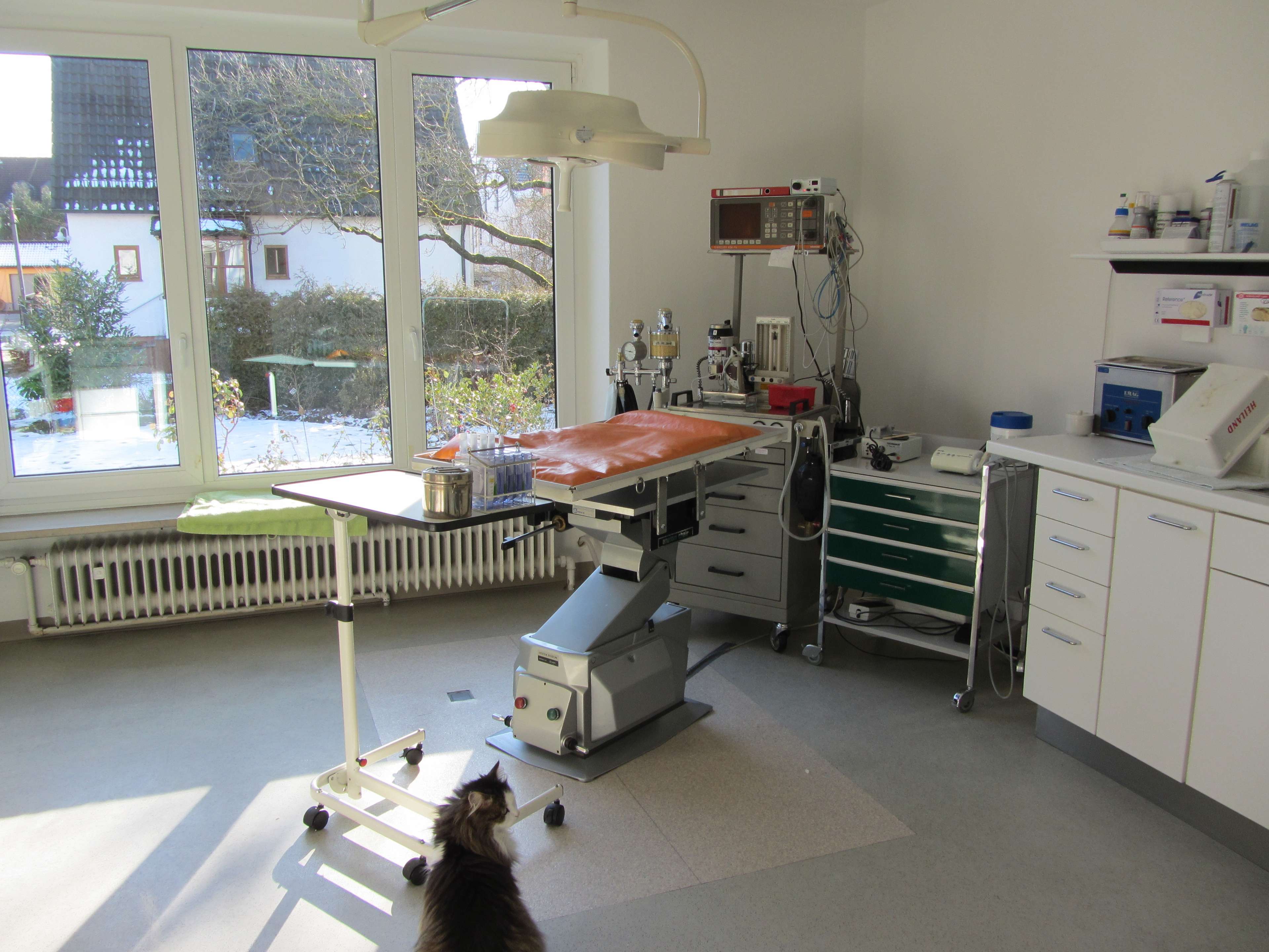 Ansicht 2 von Dr. med. vet. Silke Beckmann prakt. Tierärztin