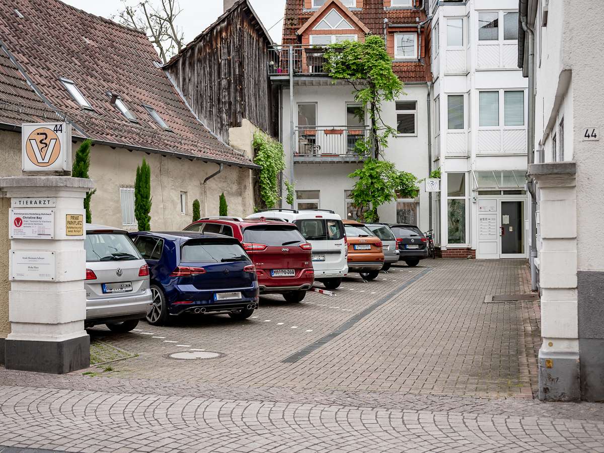 Ansicht 3 von Tierarzt Bay Heidelberg, Kleintierpraxis Heidelberg-Rohrbach