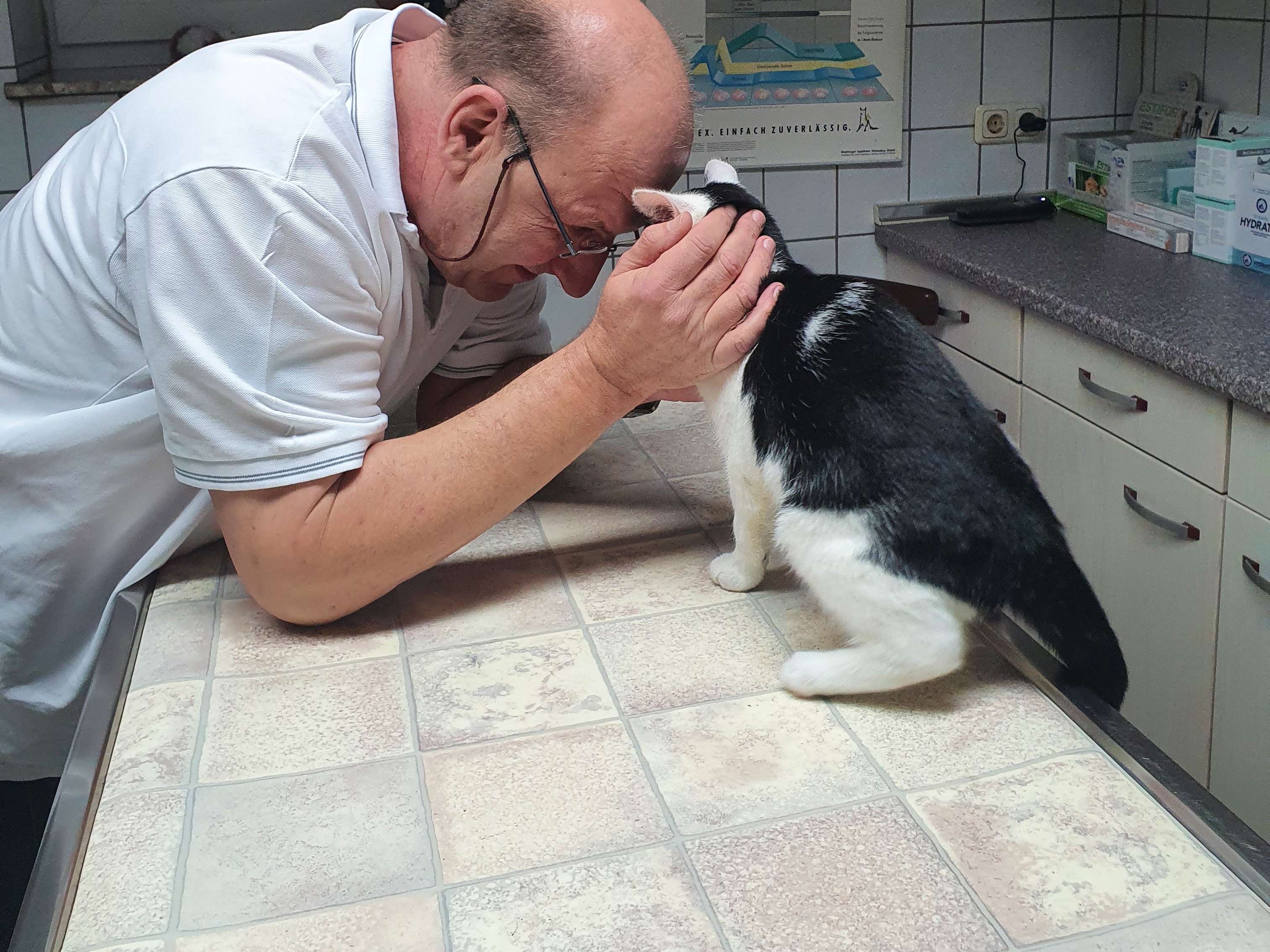 Ansicht 2 von Dr. med. vet. Rainer Schäfer Tierarzt