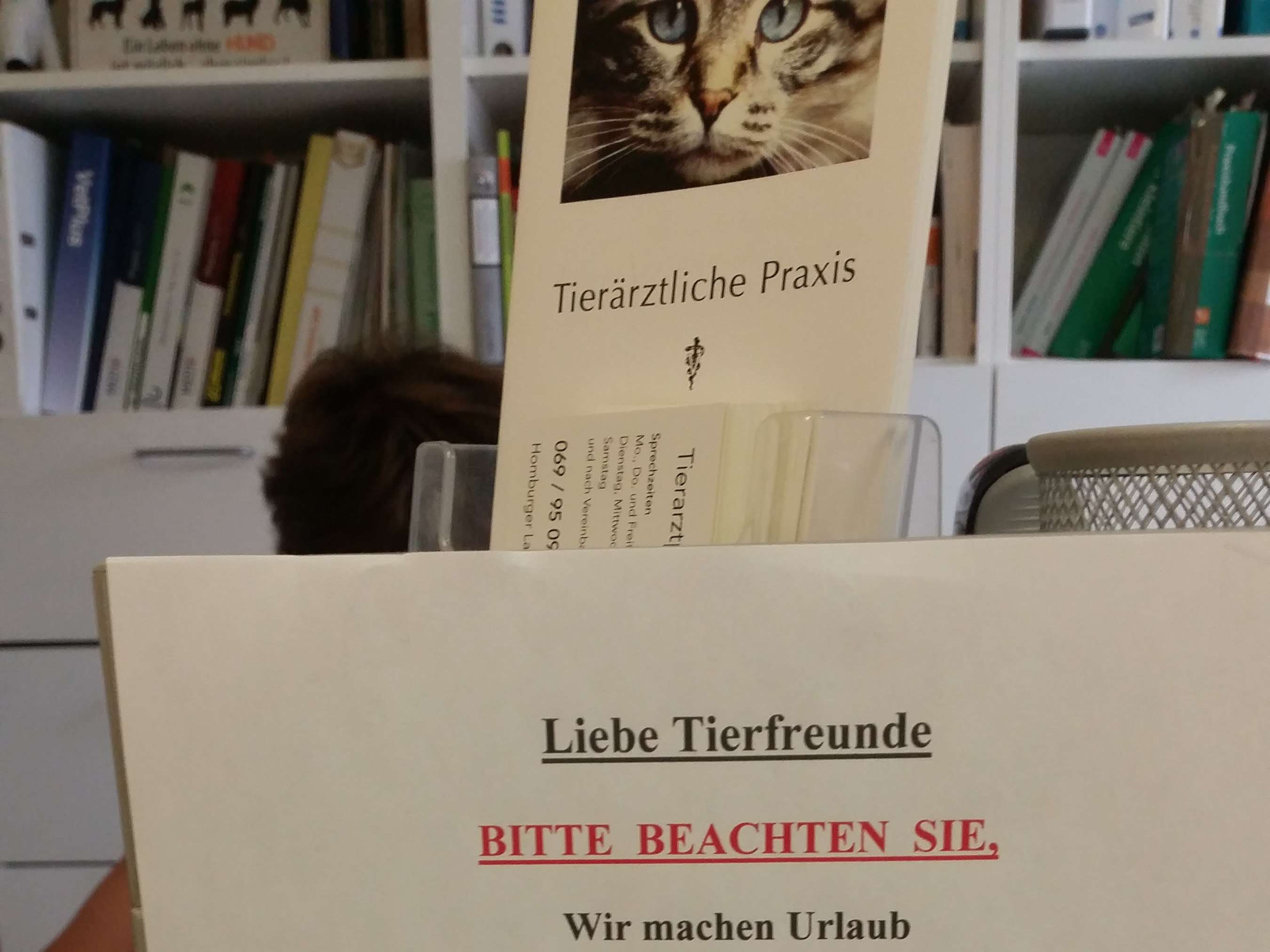 Ansicht 5 von Elena Panova Tierärztin in Frankfurt