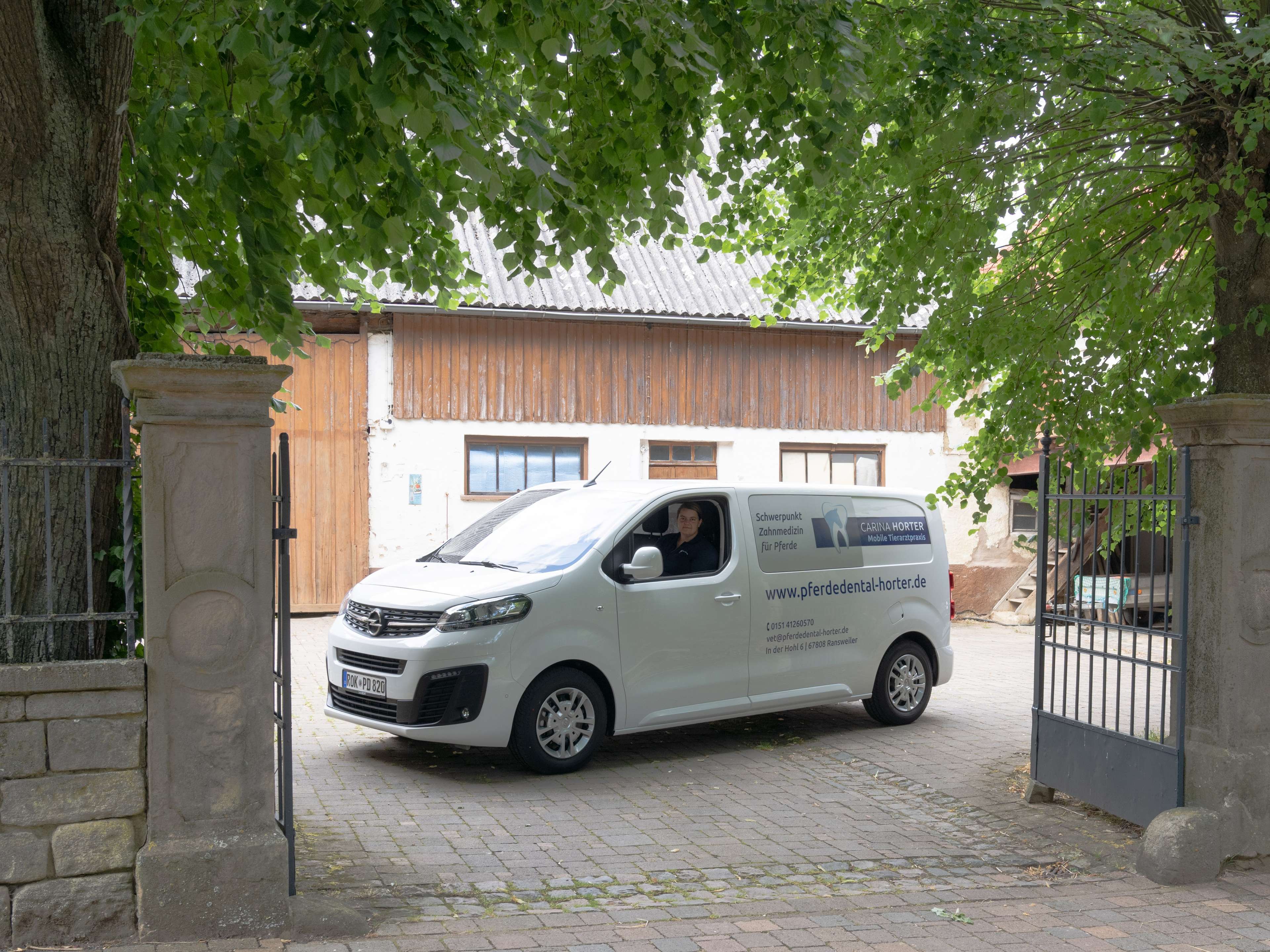 Ansicht 3 von Carina Horter Mobile Tierarztpraxis - Schwerpunkt Zahnmedizin für Pferde