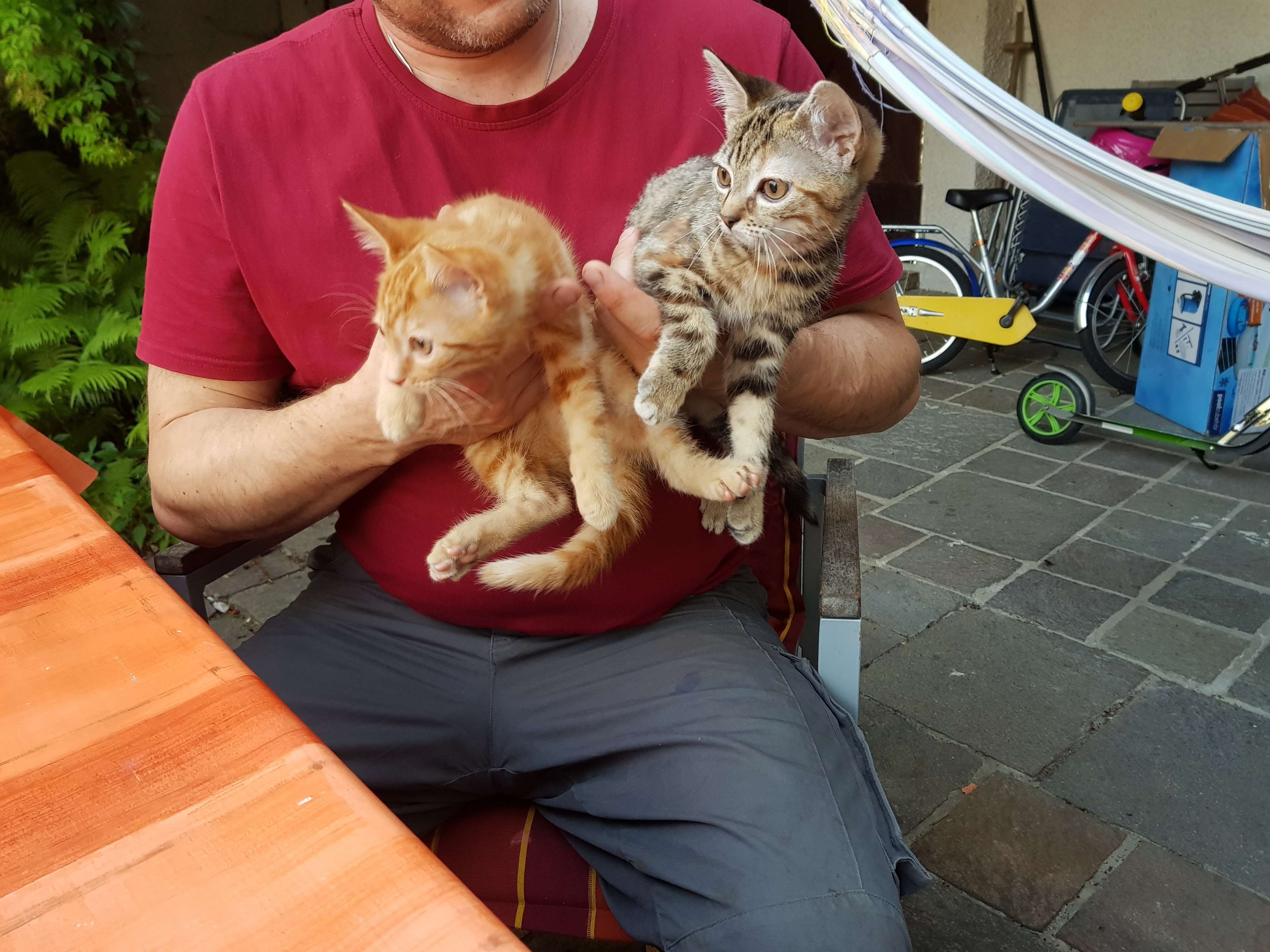 Ansicht 3 von Tierarzt Dr. med. vet. H.Gerle