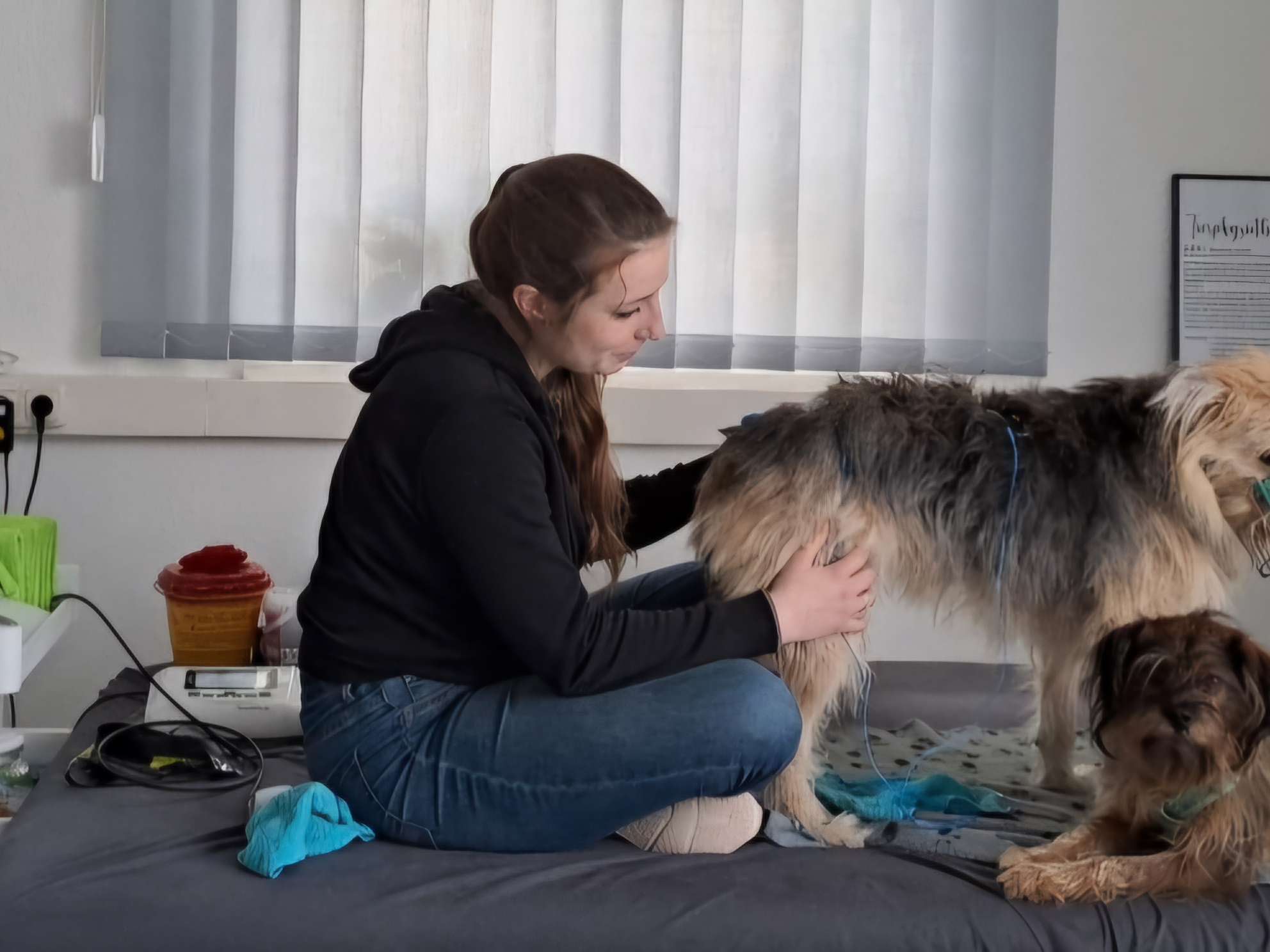 Ansicht 1 von Tiertherapie Büdel