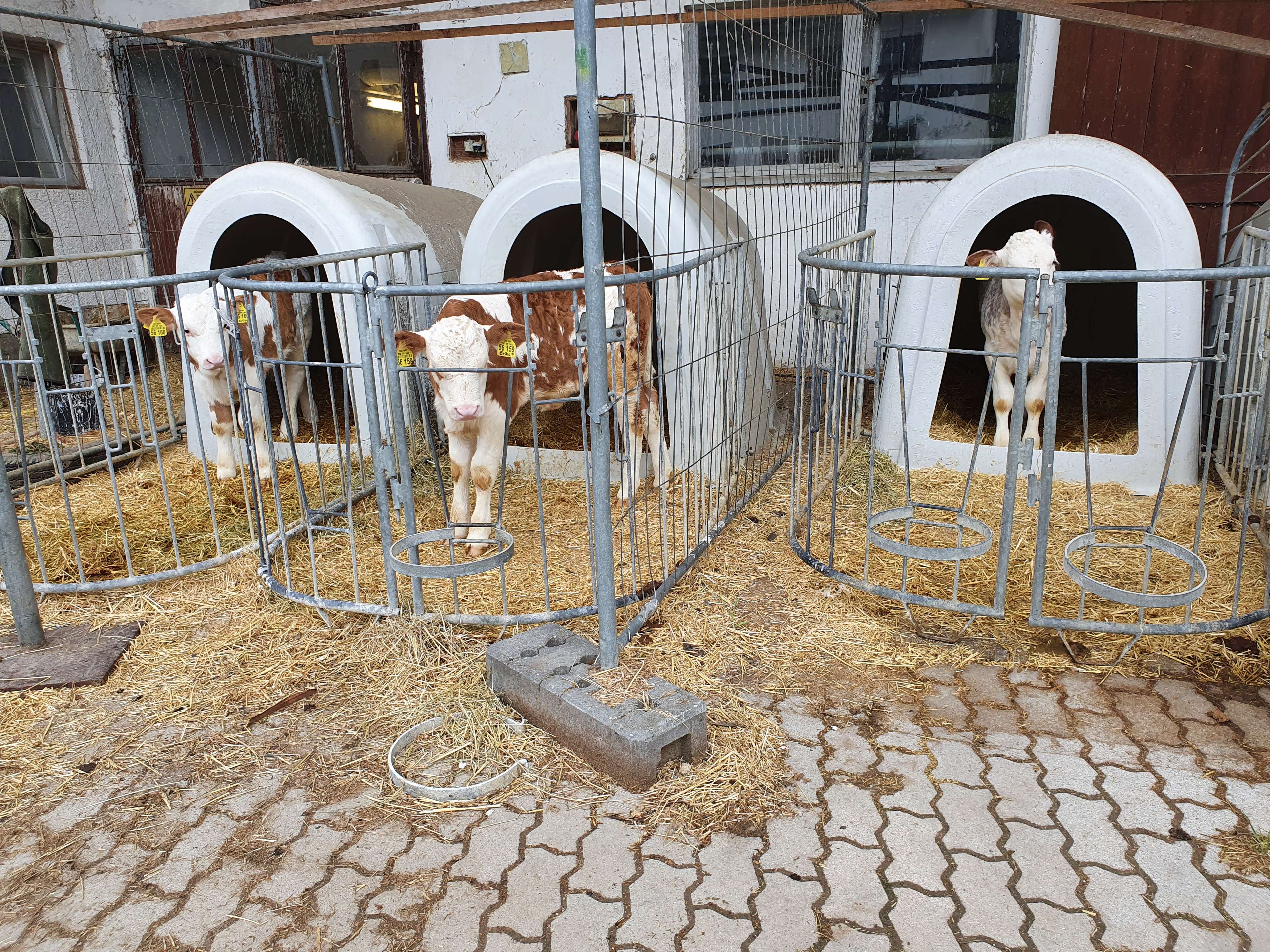 Ansicht 2 von Dr. Martin Steber