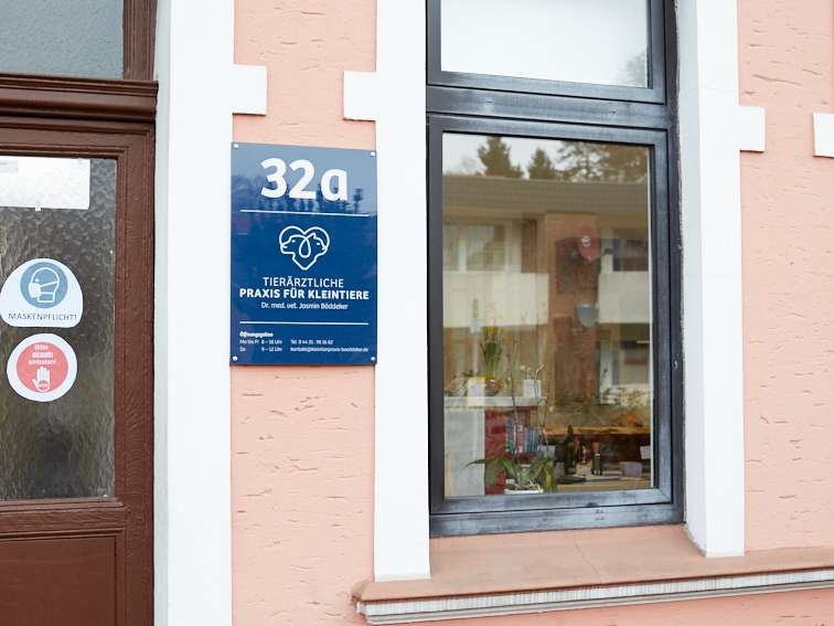 Ansicht 3 von Tierärztliche Praxis für Kleintiere Dr. med. vet. Jasmin Böddeker