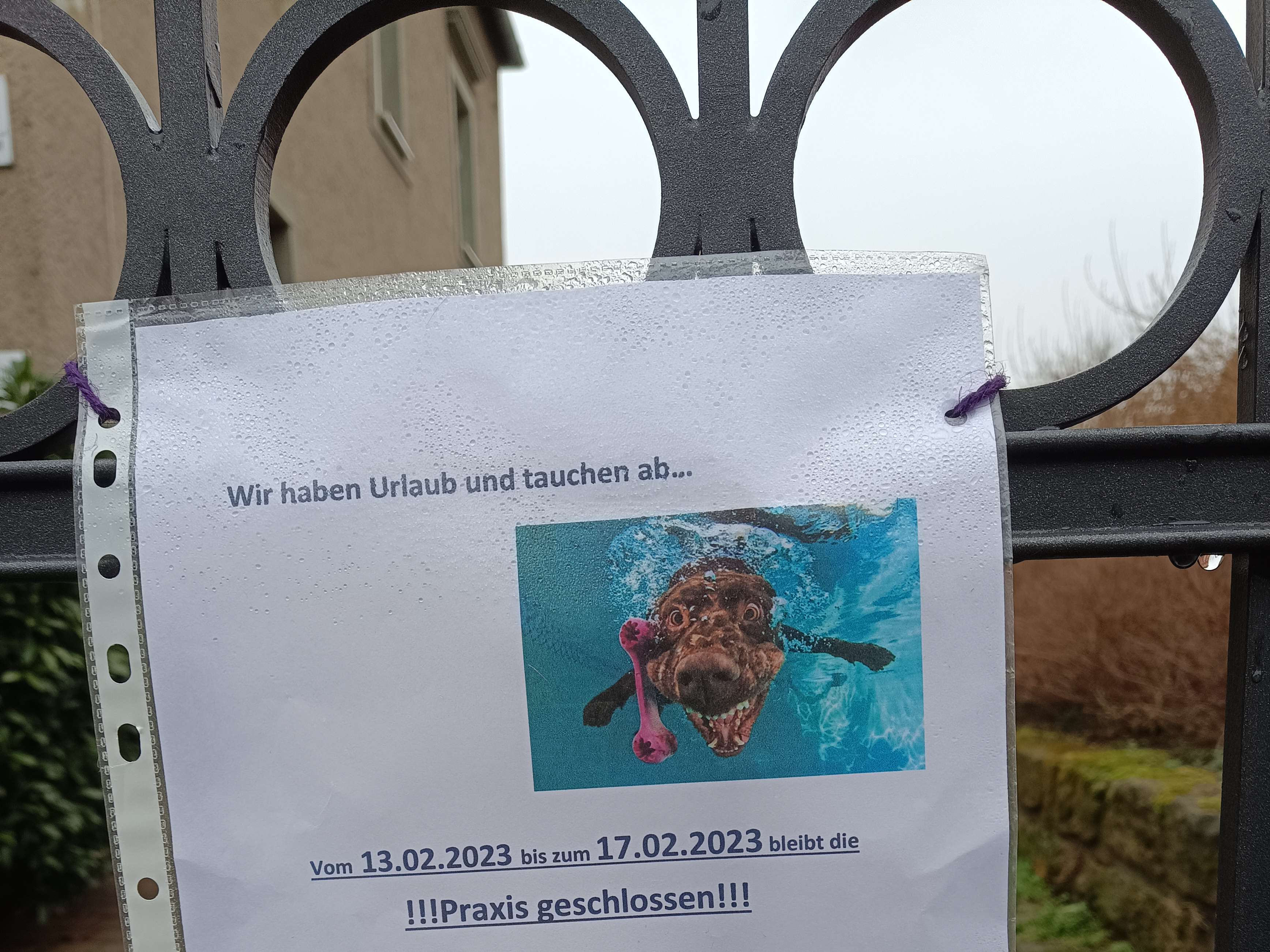 Ansicht 2 von Dr.med.vet. Wolfgang Büttner Tierarzt
