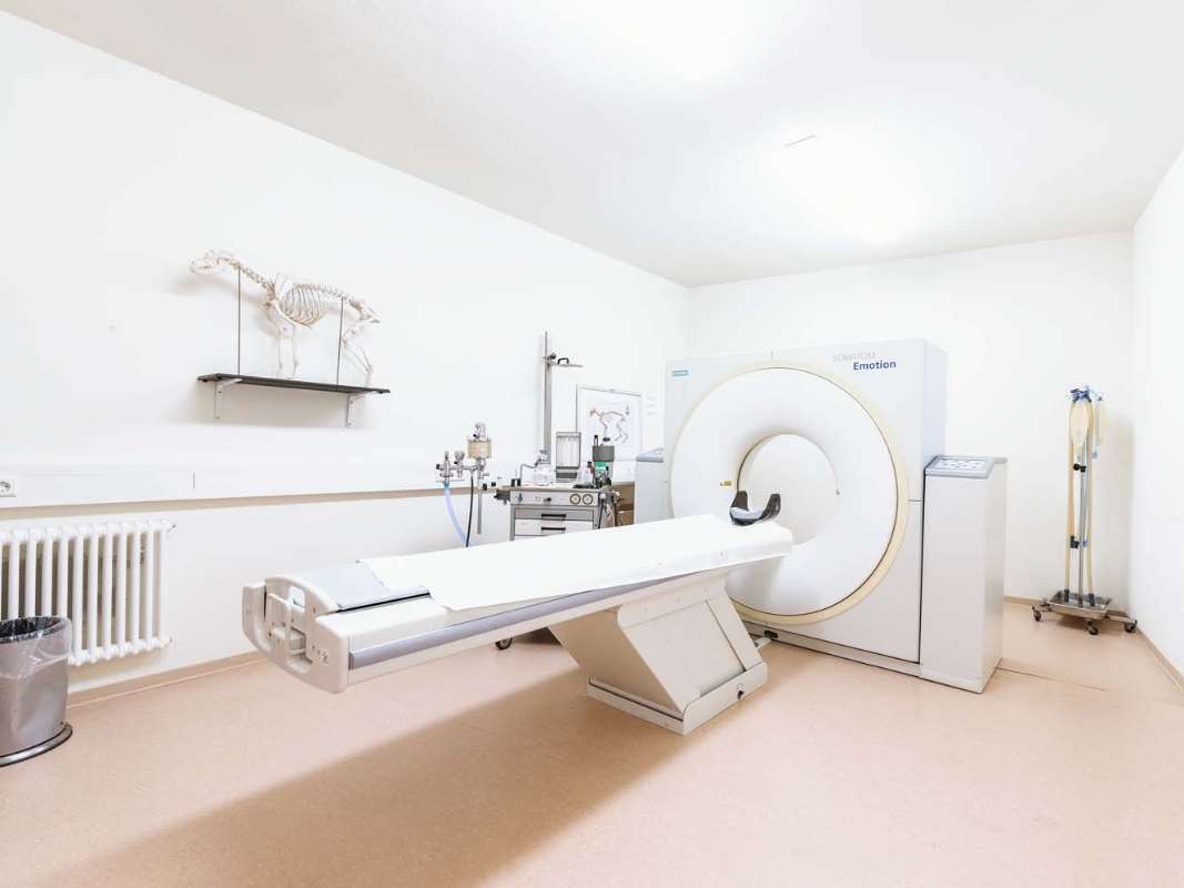 Ansicht 3 von Tierarzt Möhnle Kehl, Fachtierärztliches Zentrum für Kleintiere Kehl-Hanauerland