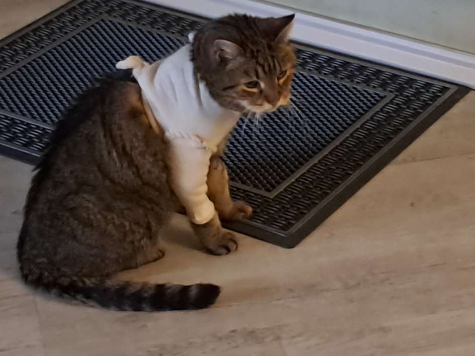 Ansicht 1 von Wust Heike Dr. med. vet.