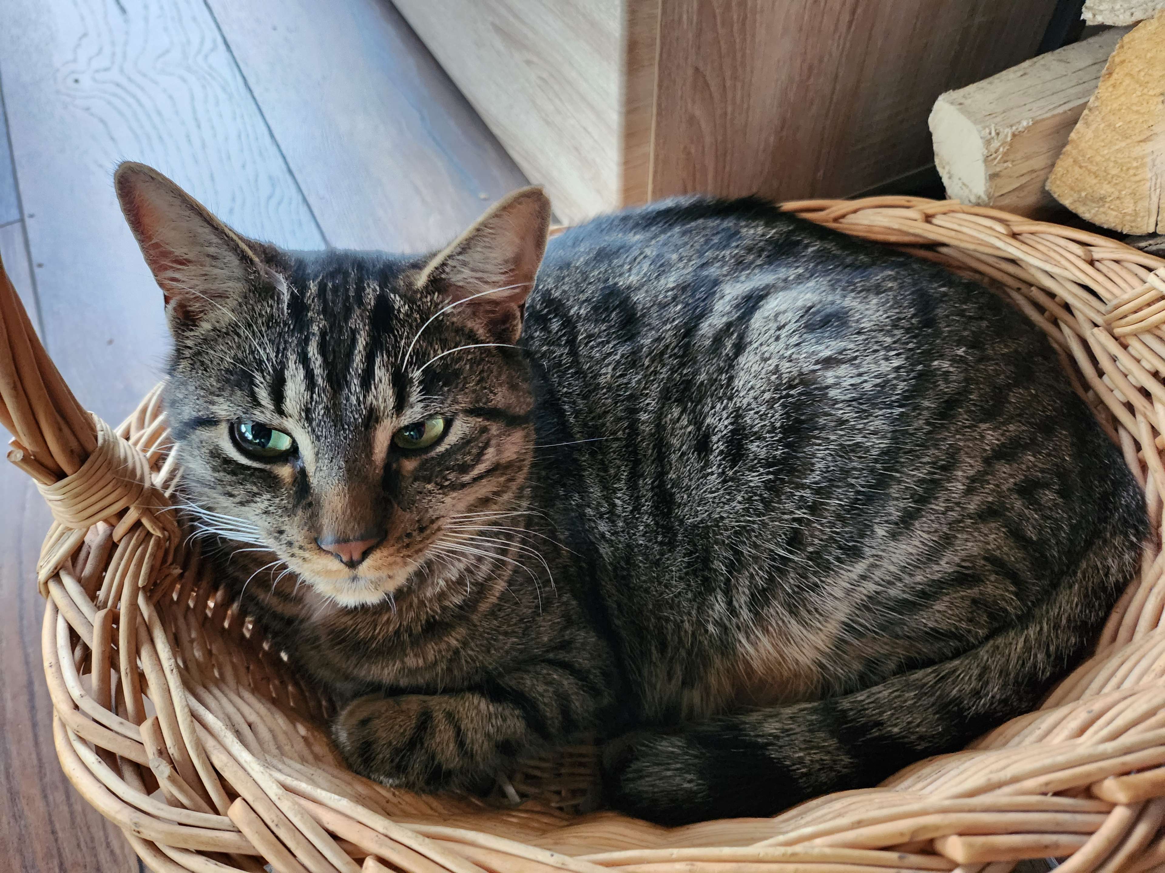 Ansicht 1 von Tierarzt Ewald Eswein