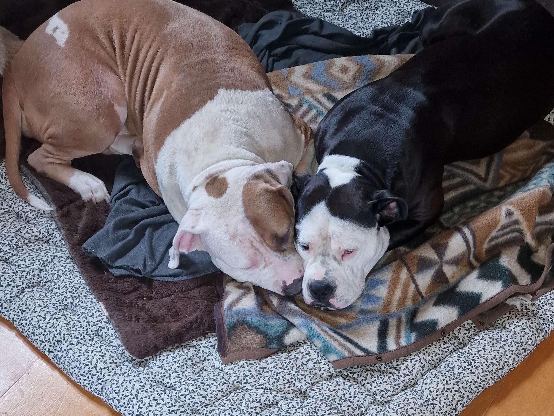 View 1 of Kleintierpraxis Silke Hartmann