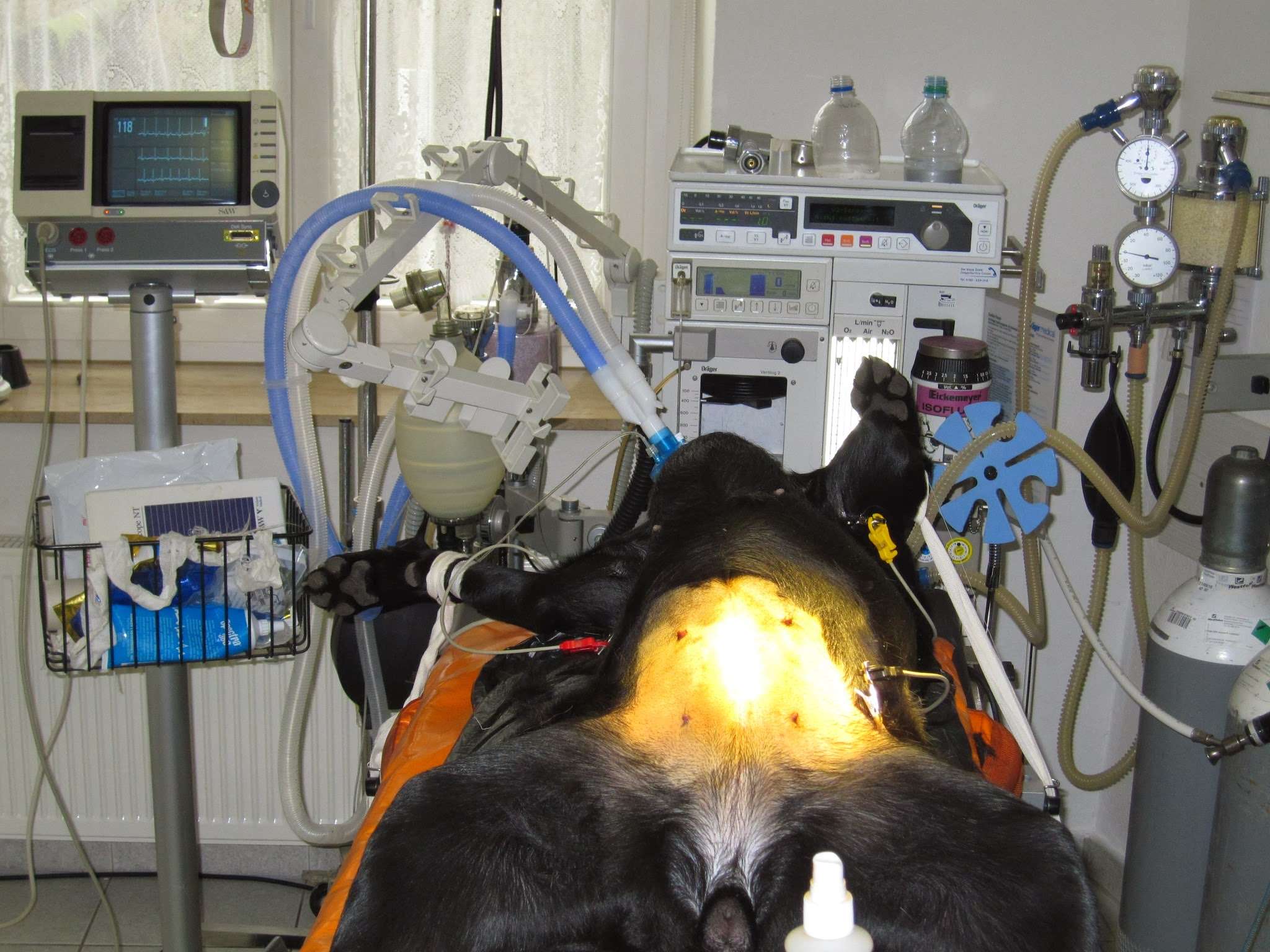 Ansicht 2 von Tierarztpraxis Dr. Gille