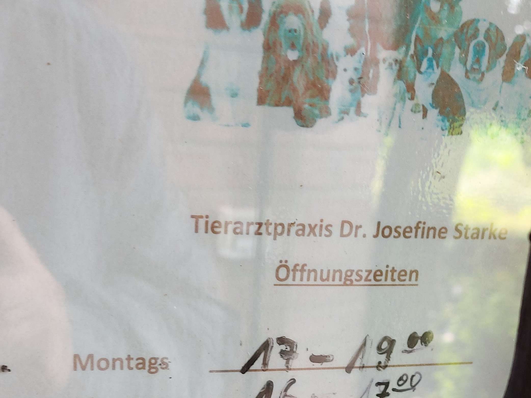 Ansicht 2 von Tierärztliche Praxis Dr. vet. Josefine Starke