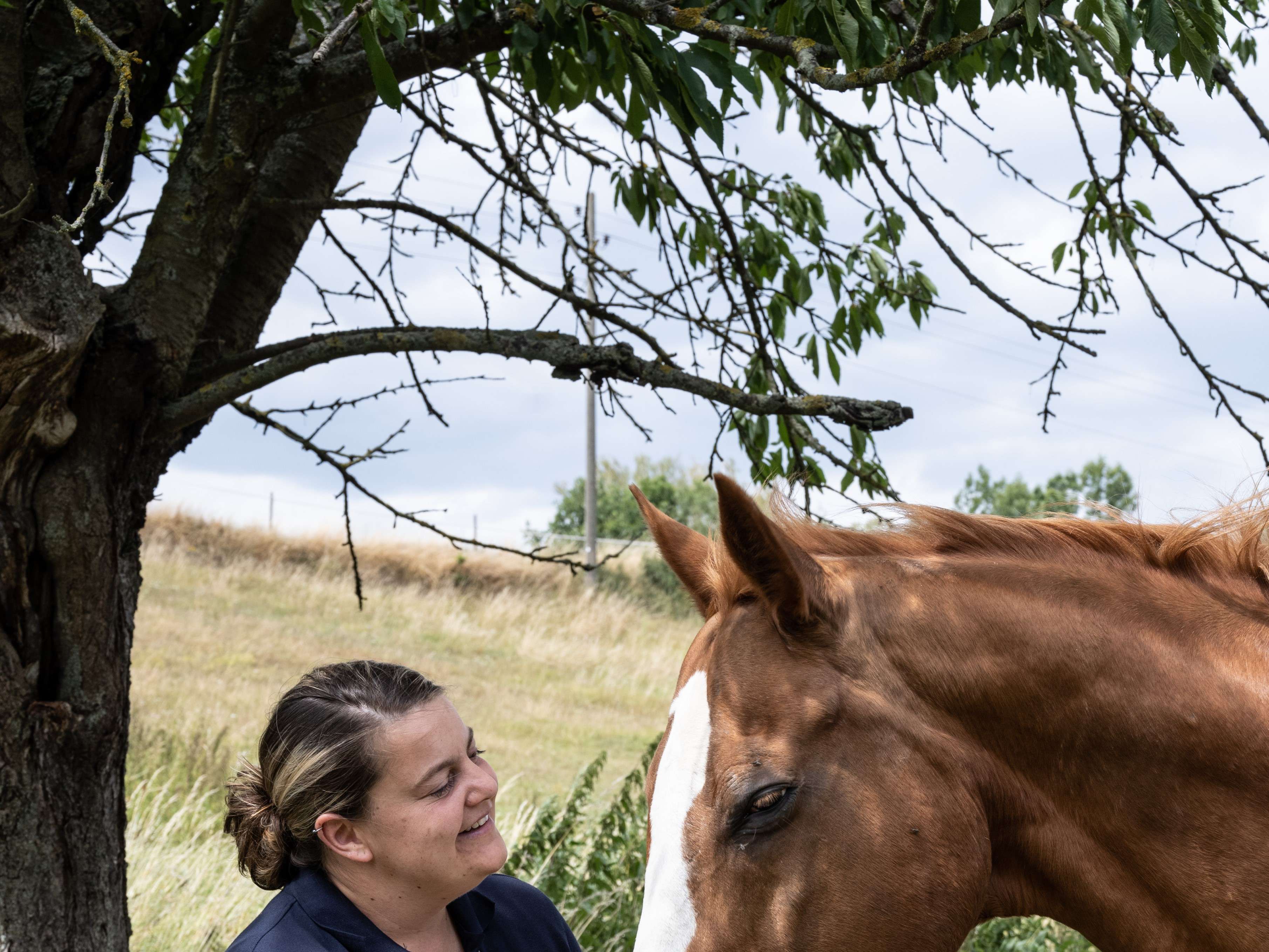 Ansicht 1 von Carina Horter Mobile Tierarztpraxis - Schwerpunkt Zahnmedizin für Pferde