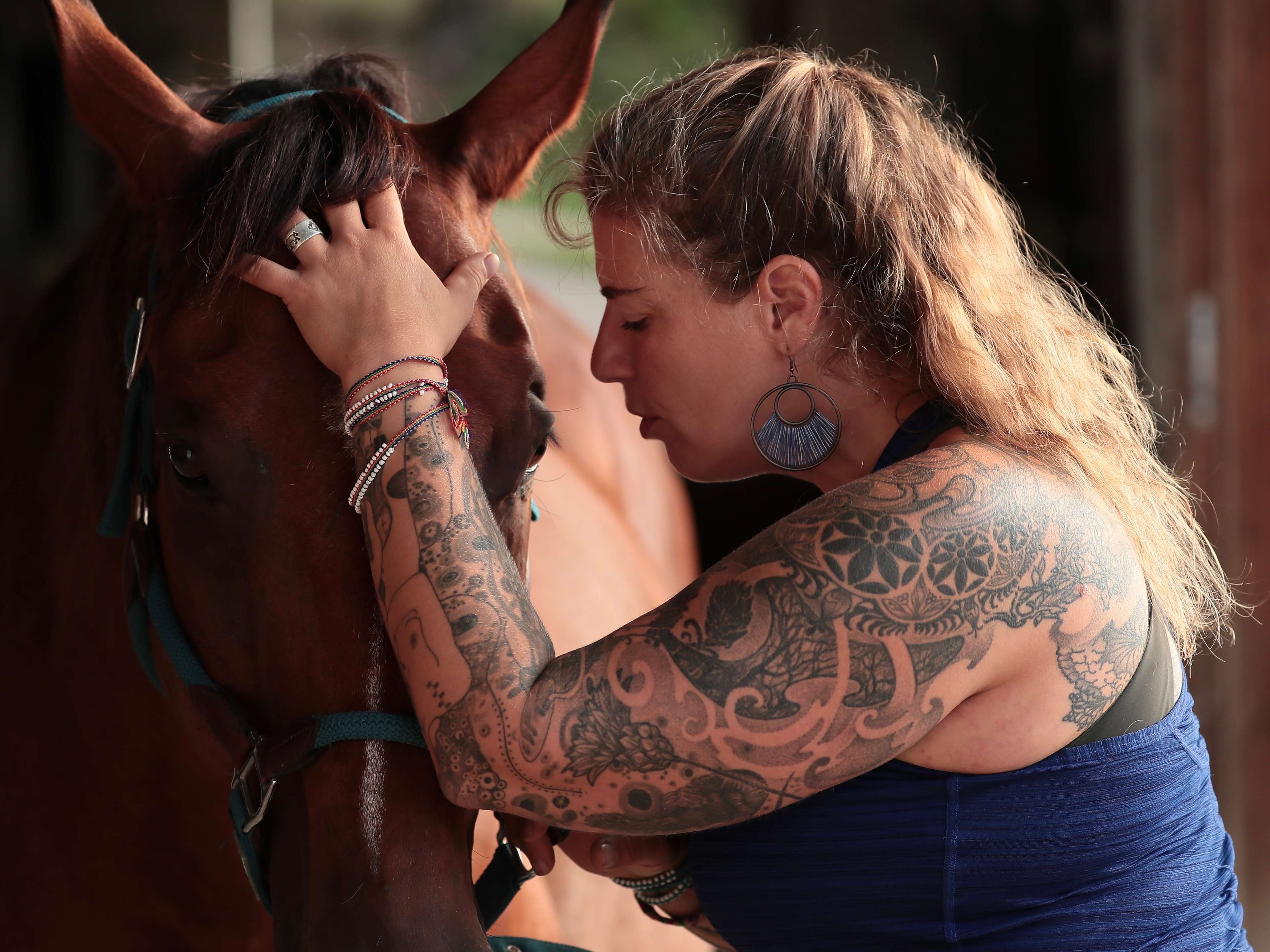 Ansicht 1 von Tierärztin Dorothea Weber Pferdemedizin und Osteopathie