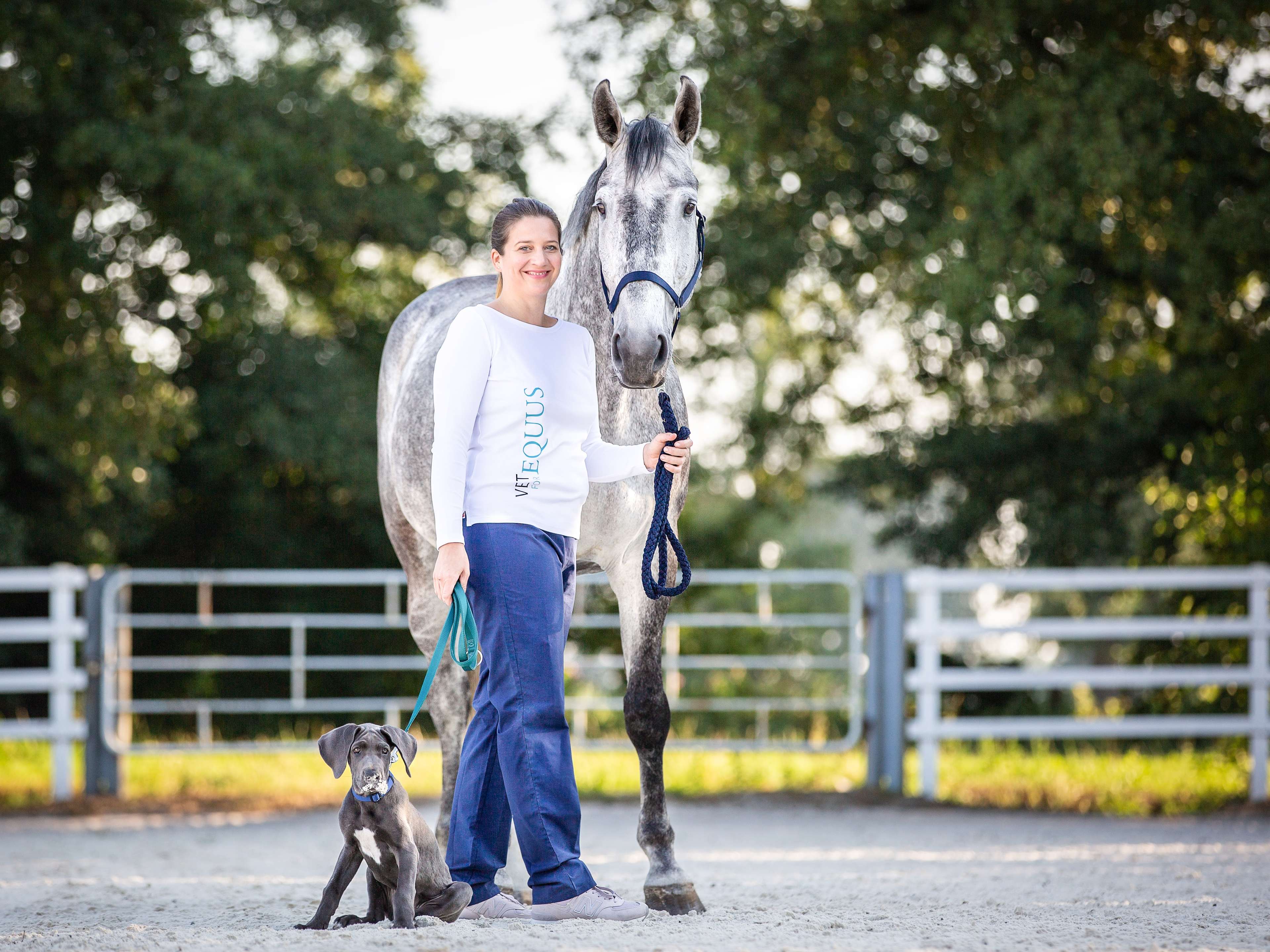 Ansicht 1 von VET FOR EQUUS Mobile Pferdepraxis & TCVM Akupunktur chinesische Medizin Hund und Pferd 24/7 Notdienst für Pferde
