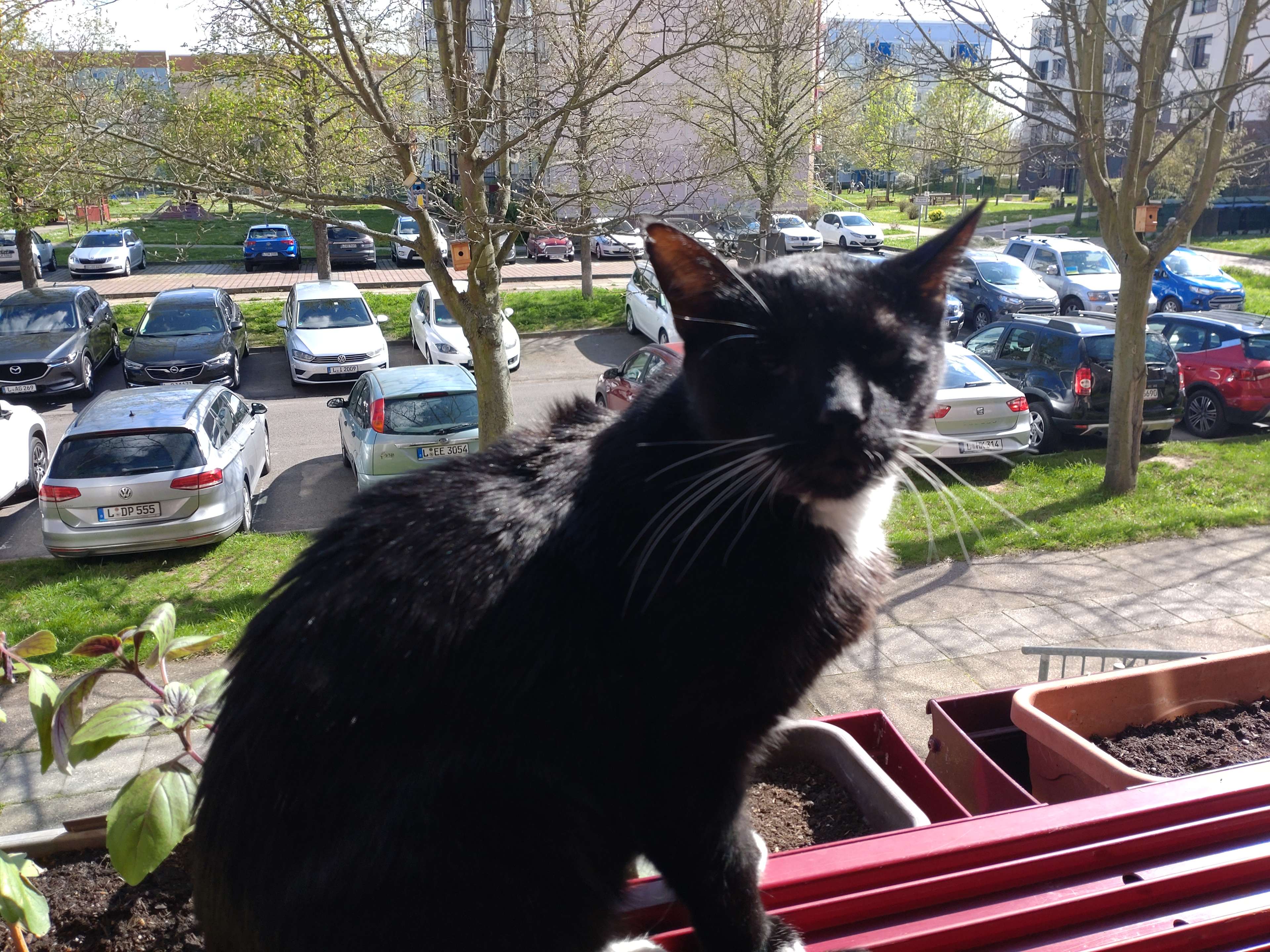 Ansicht 1 von Tierarztpraxis für Katzen- und Verhaltensmedizin Dr. Katja Oelmann