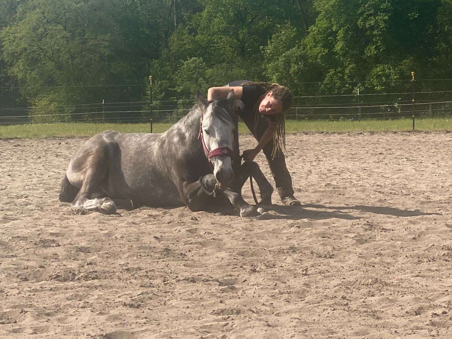 View 3 of Praxis für Veterinärosteopathie&Chinesische Medizin