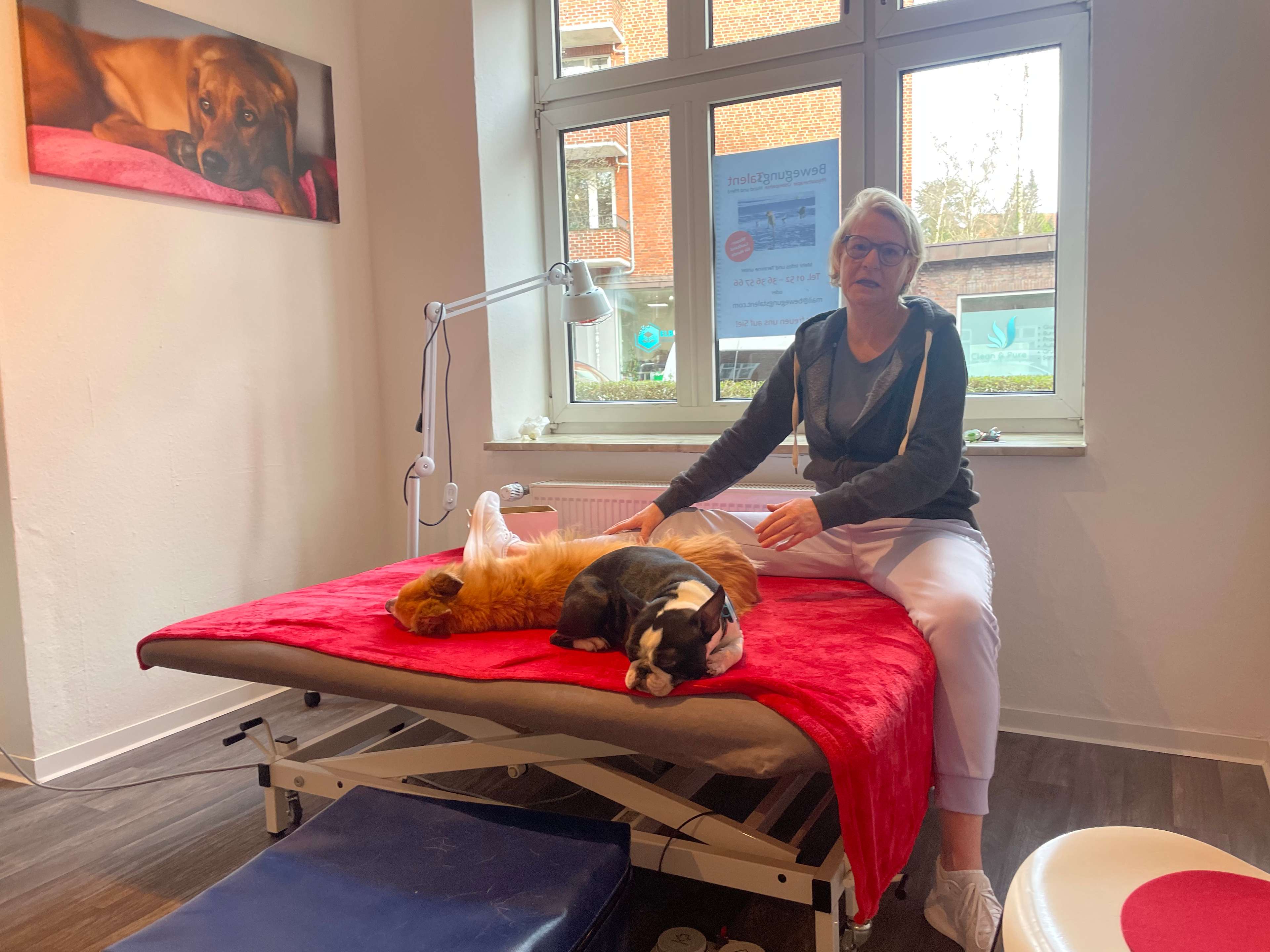Ansicht 3 von BewegungsTalent Tierphysiotherapie