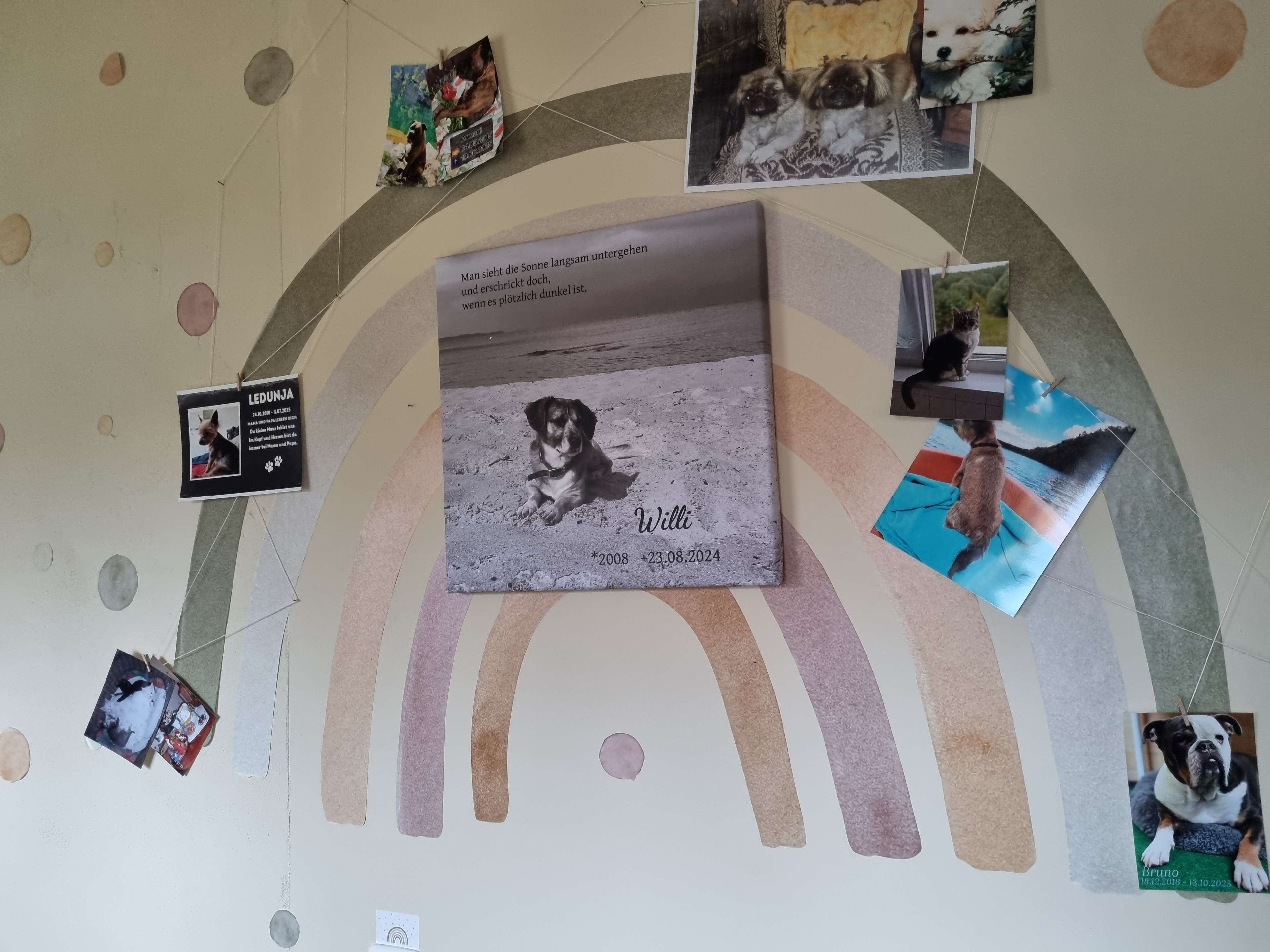 Ansicht 3 von Tierarztpraxis Schuppelius - Susanne Schuppelius | Tierarztpraxis für Kleintiere in Templin