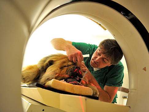 Ansicht 2 von Dr. med. vet. Mario Erler