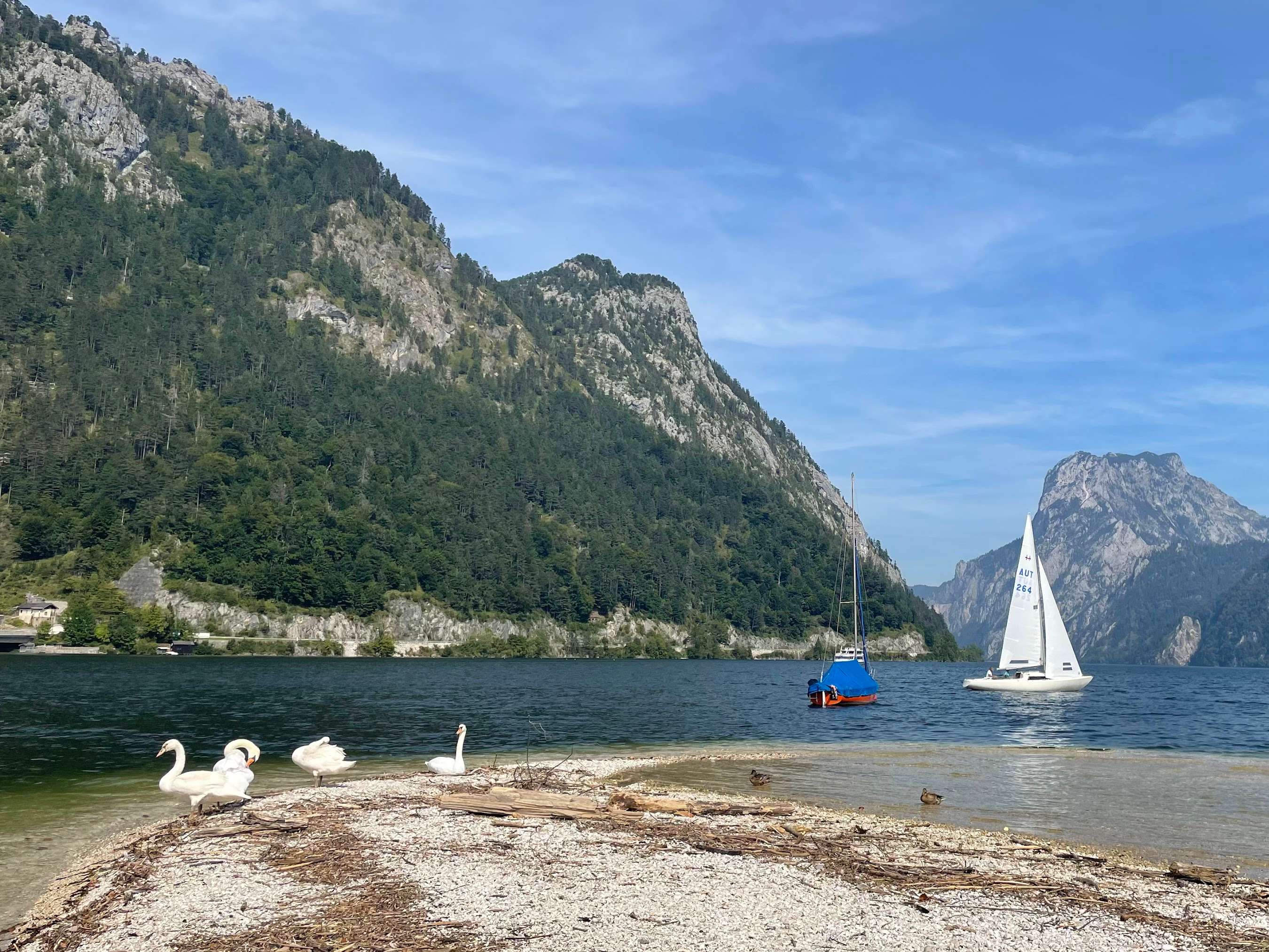 View 2 of Mag.med.vet. Jascha Sabine