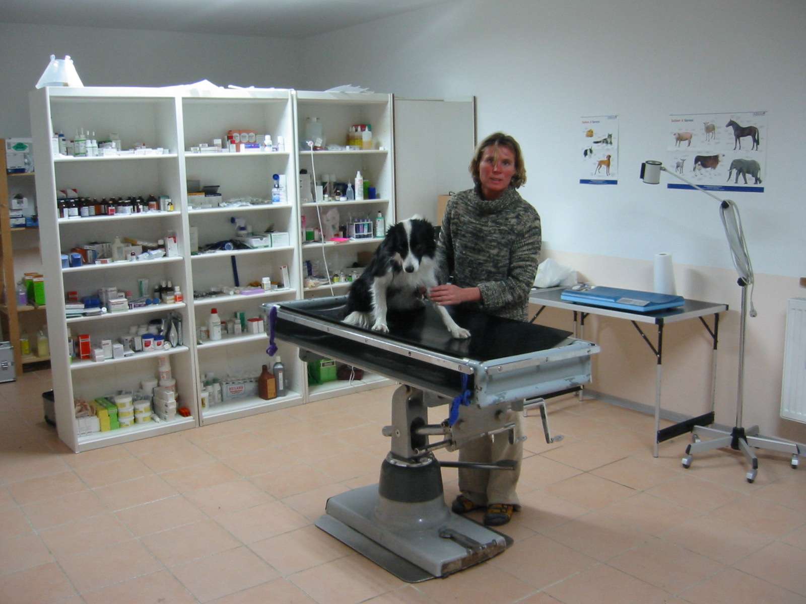 Ansicht 1 von Tierarztpraxis Corina Morasch