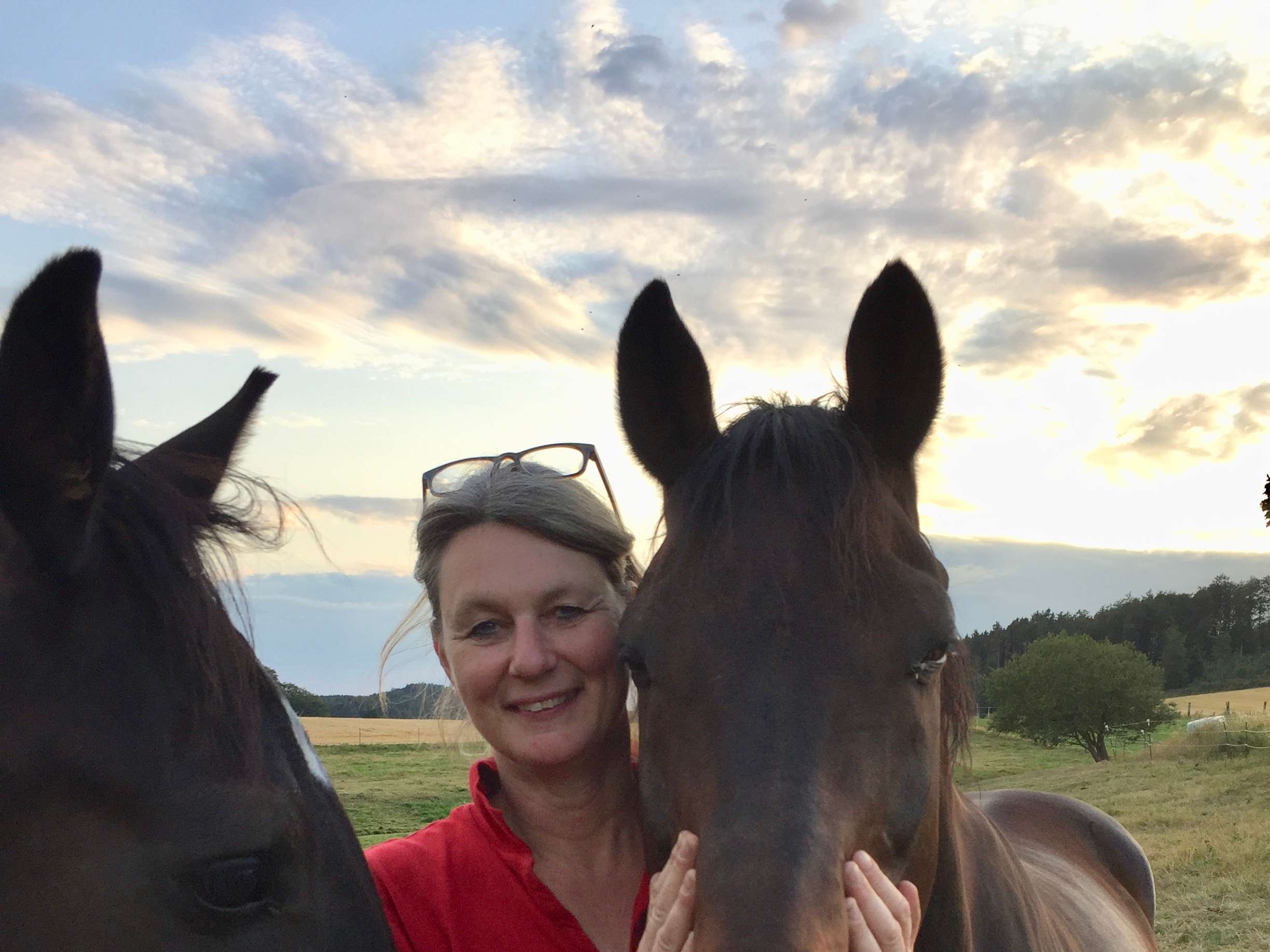 Ansicht 2 von Dr. med. vet. Gabriele Kisters, ambulante Pferdepraxis