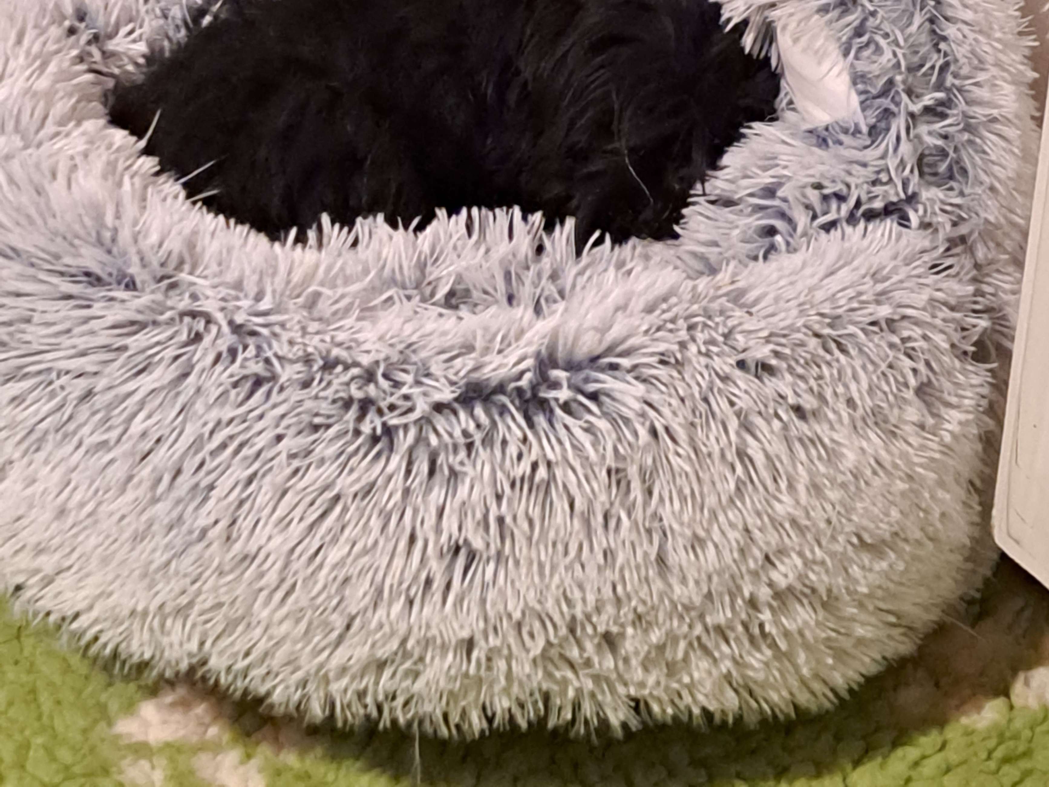 Ansicht 2 von Hundezucht Vom Sonwendsteinblick