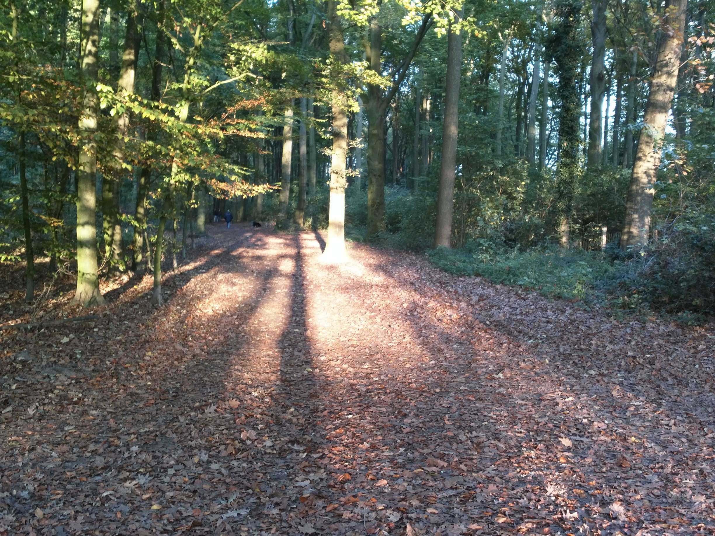 View 2 of Dr. Alexandra Feichtenschlager Tierärztin