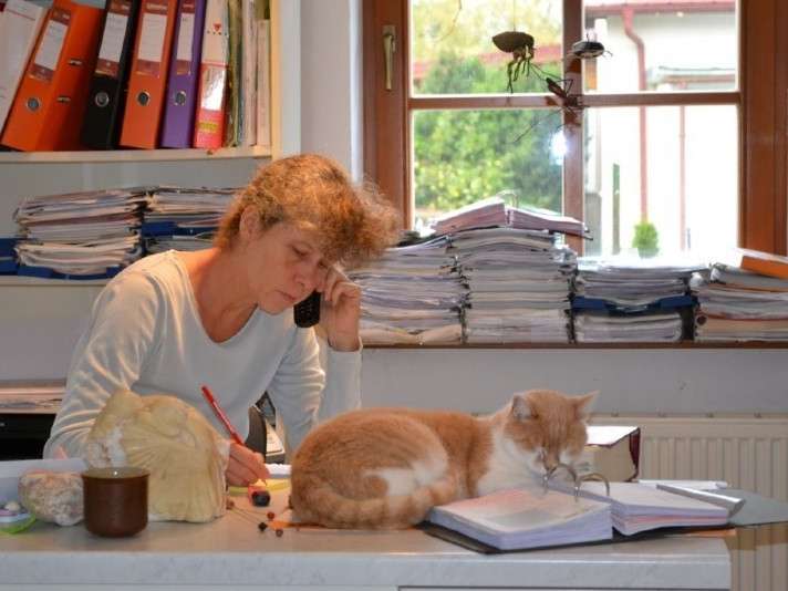 View 1 of Tierarztpraxis Wolfsgraben Dipl Tzt -Susanne Holzbecher